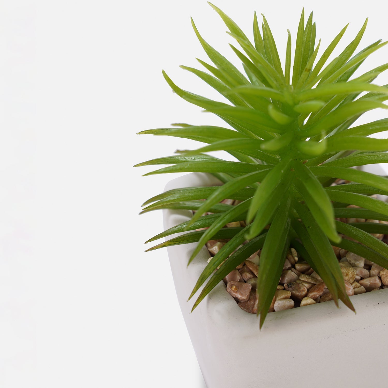 Green Artificial Cactus Succulent Plant in Cement Pot