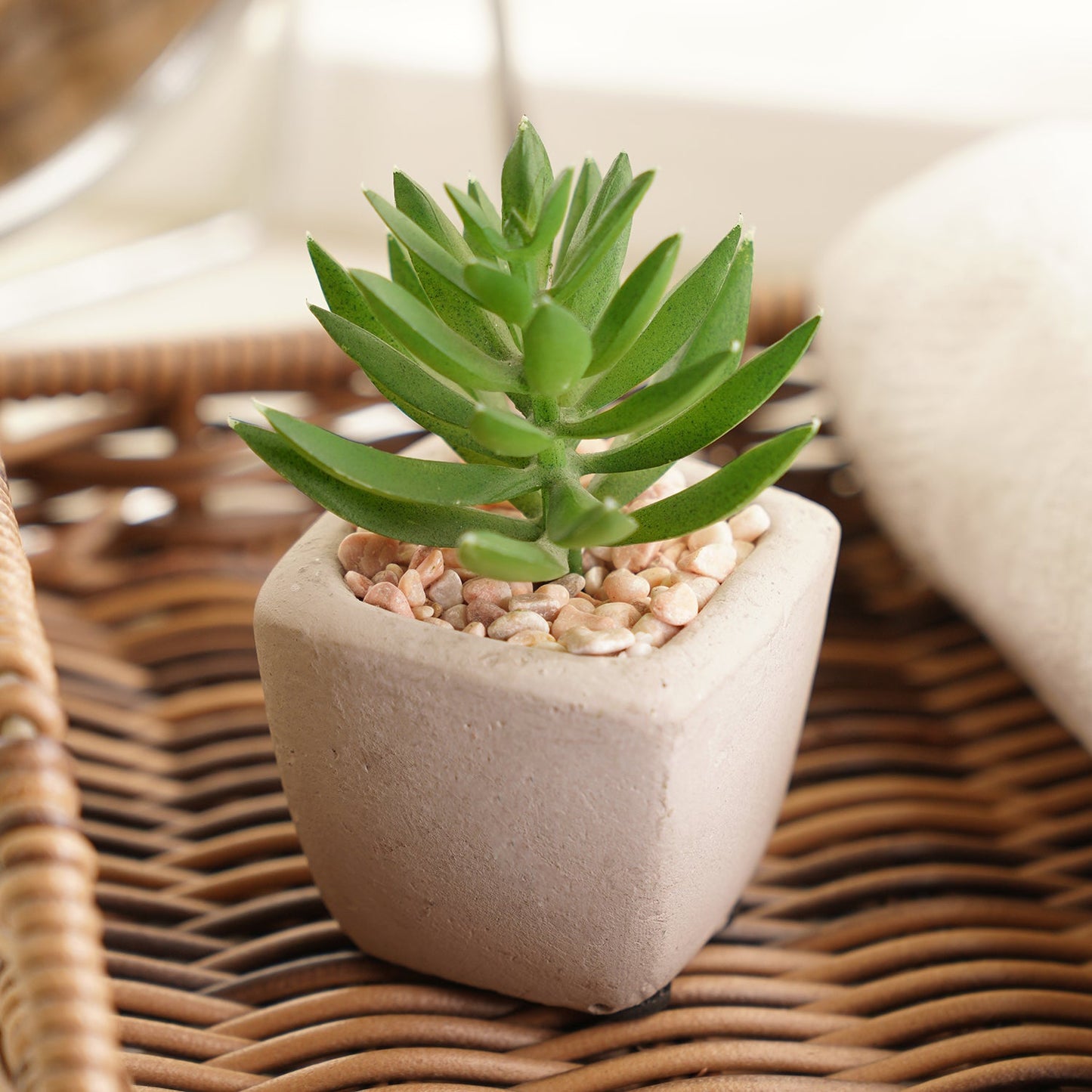 Green Artificial Succulents With Pot