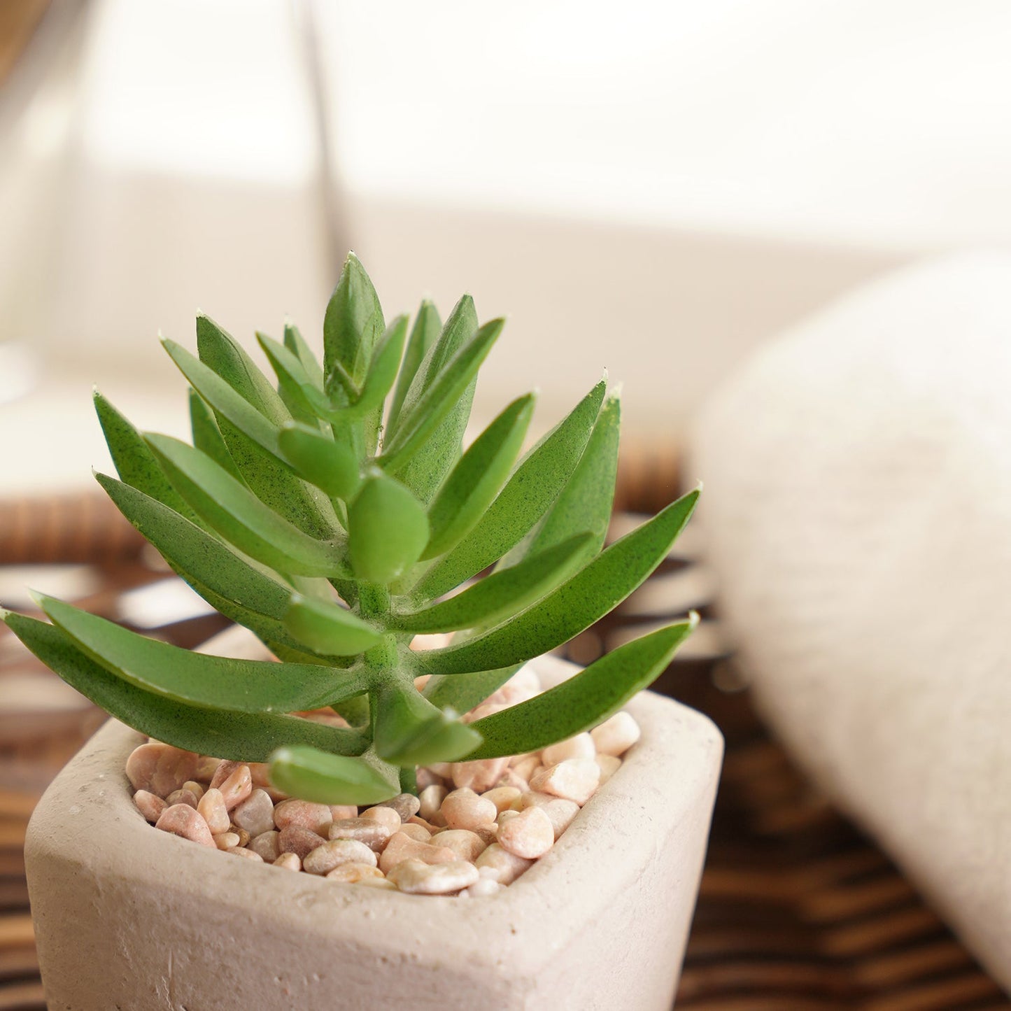 Green Artificial Succulents With Pot