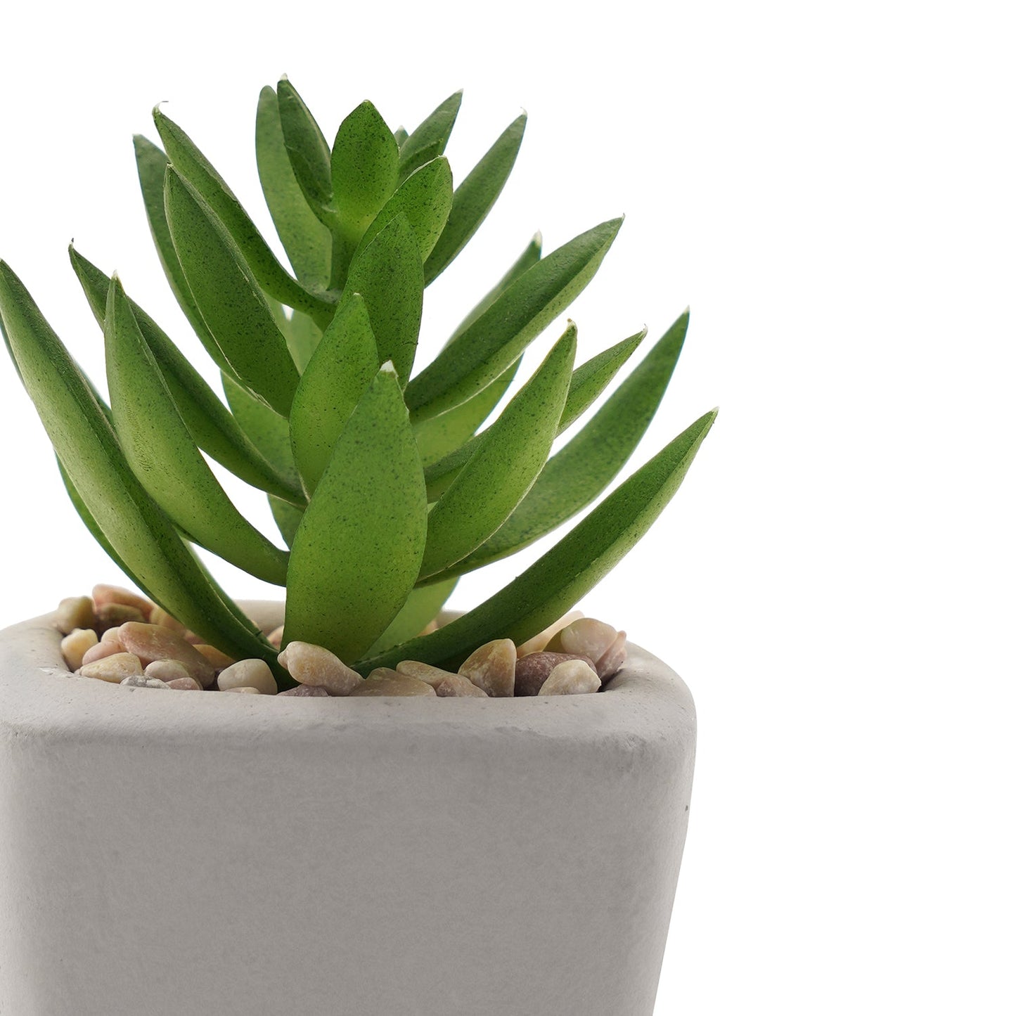 Green Artificial Succulents With Pot