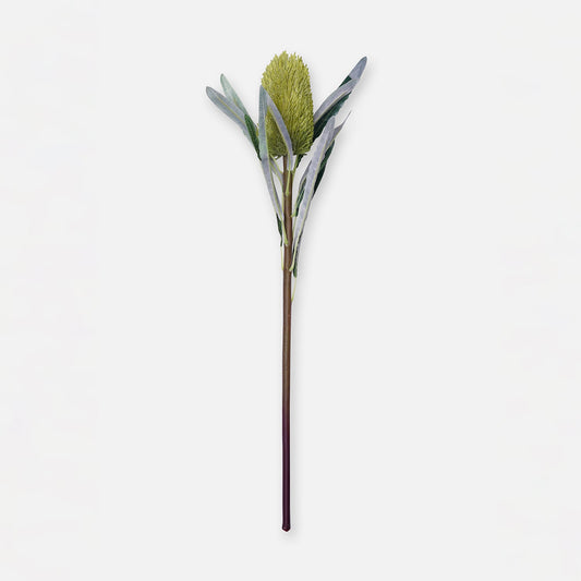 Green Protea Single Spray