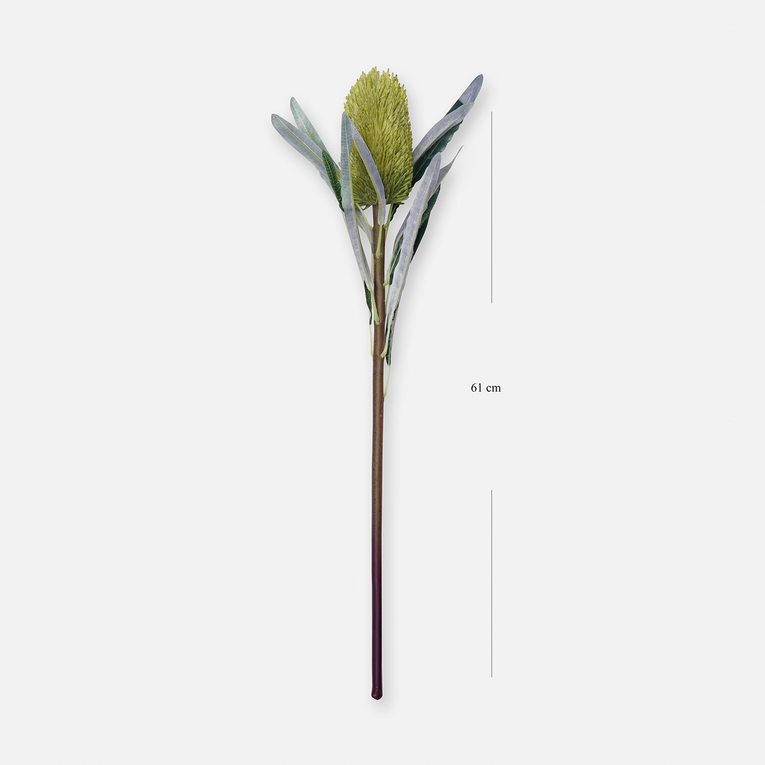 Green Protea Single Spray