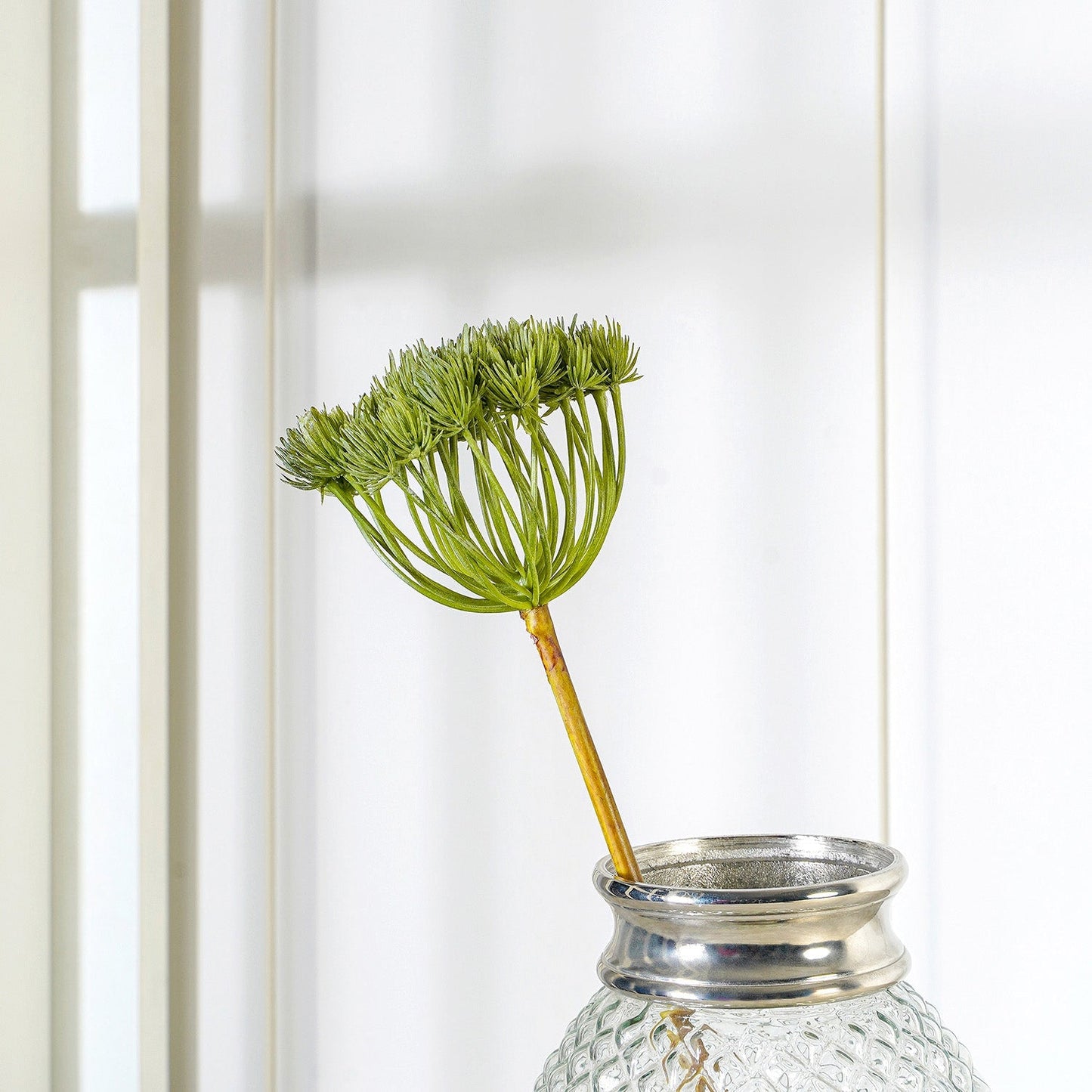 Green Pine Cone Spray