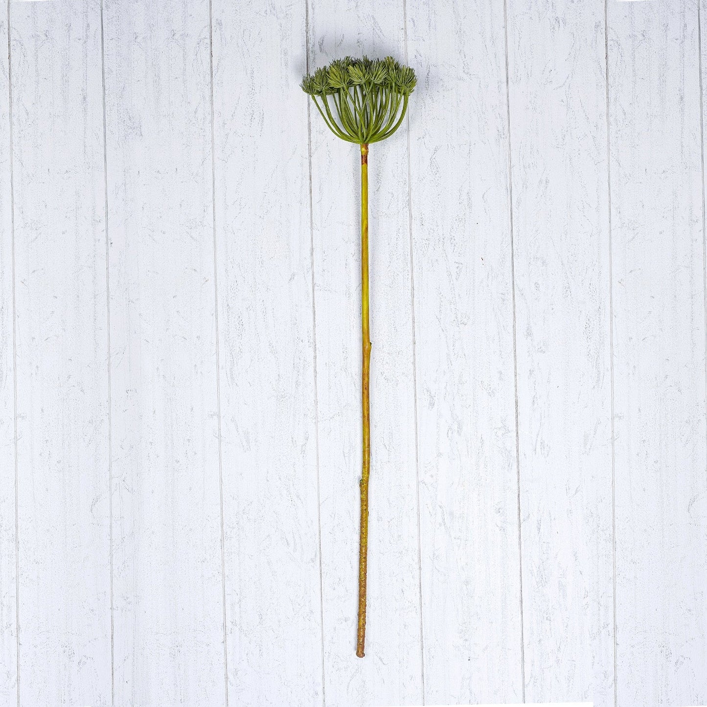Green Pine Cone Spray
