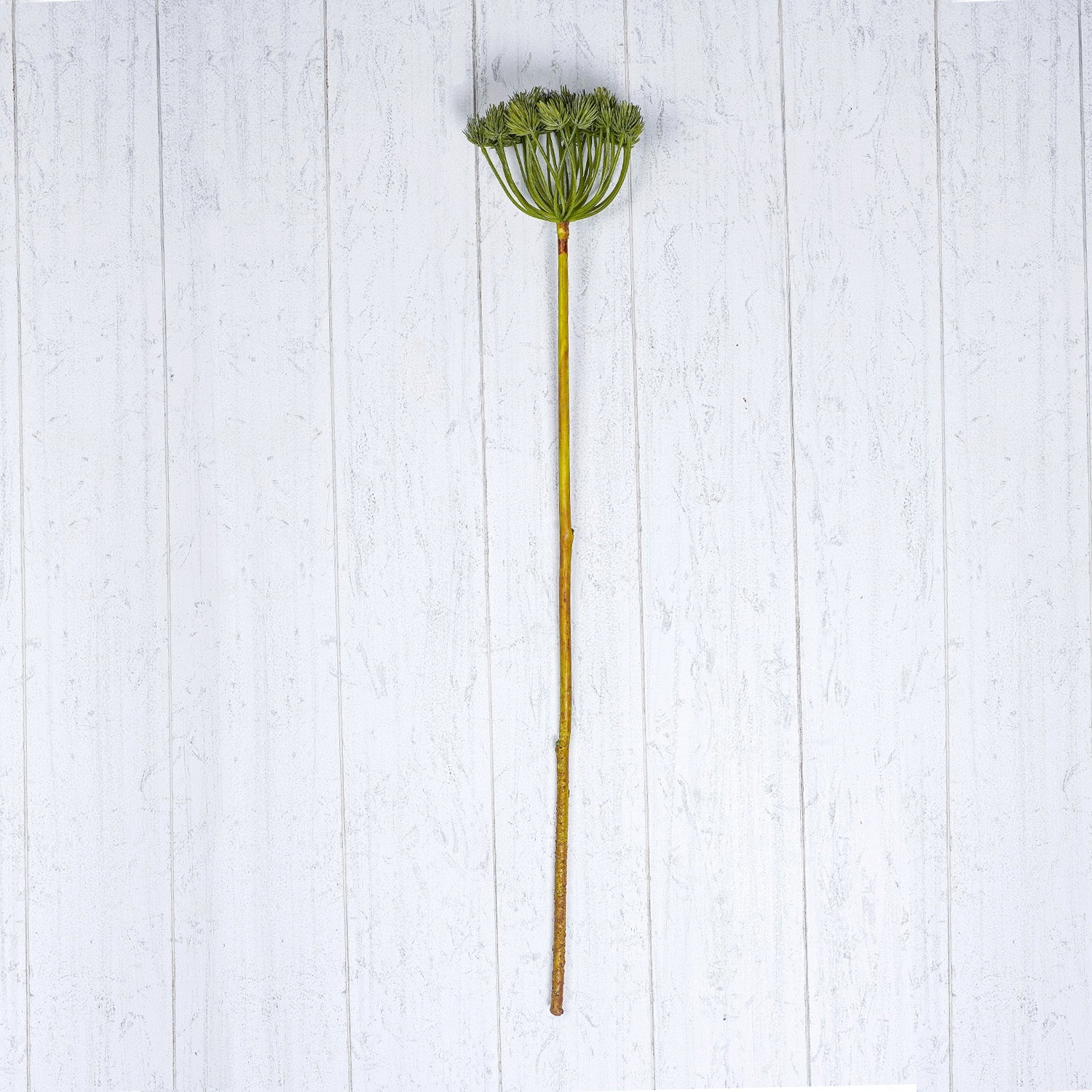 Green Pine Cone Spray