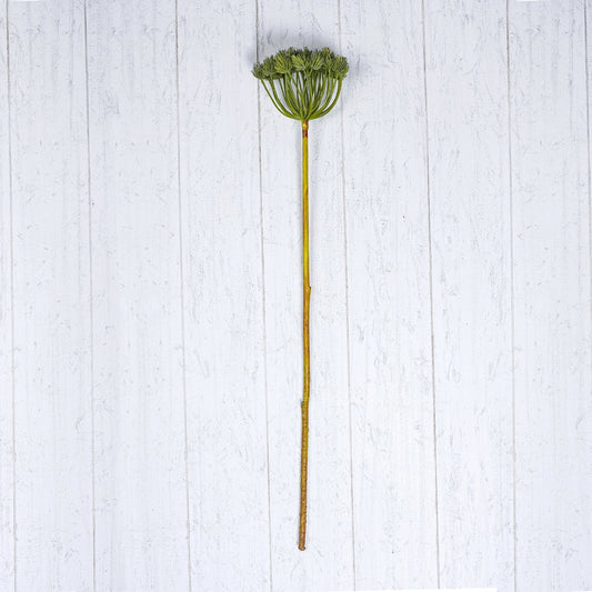 Green Pine Cone Spray