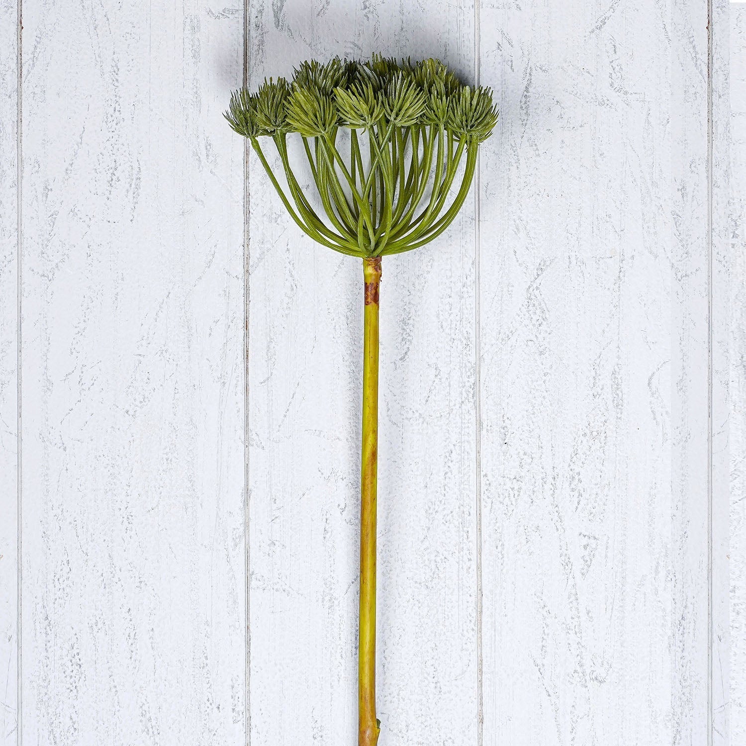Green Pine Cone Spray