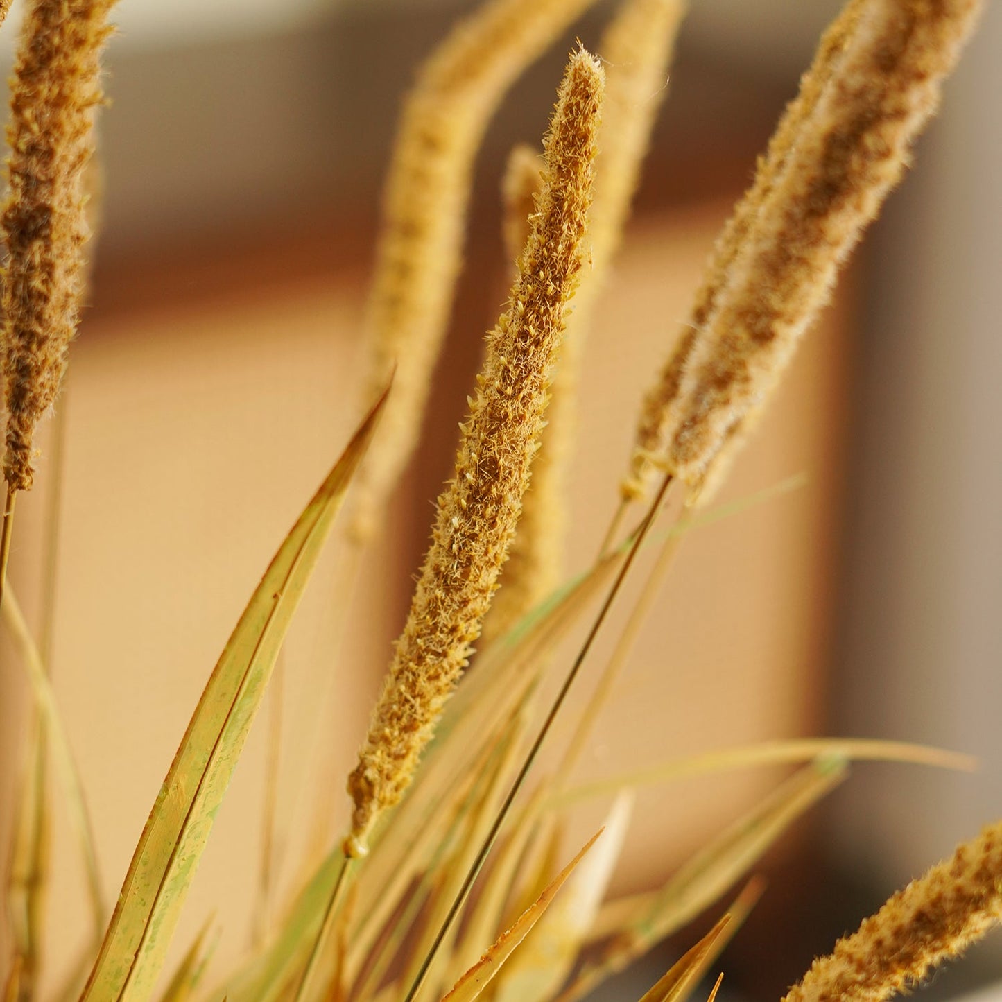 Brown Dry Bristlegrass Herb Artificial Stem - Single