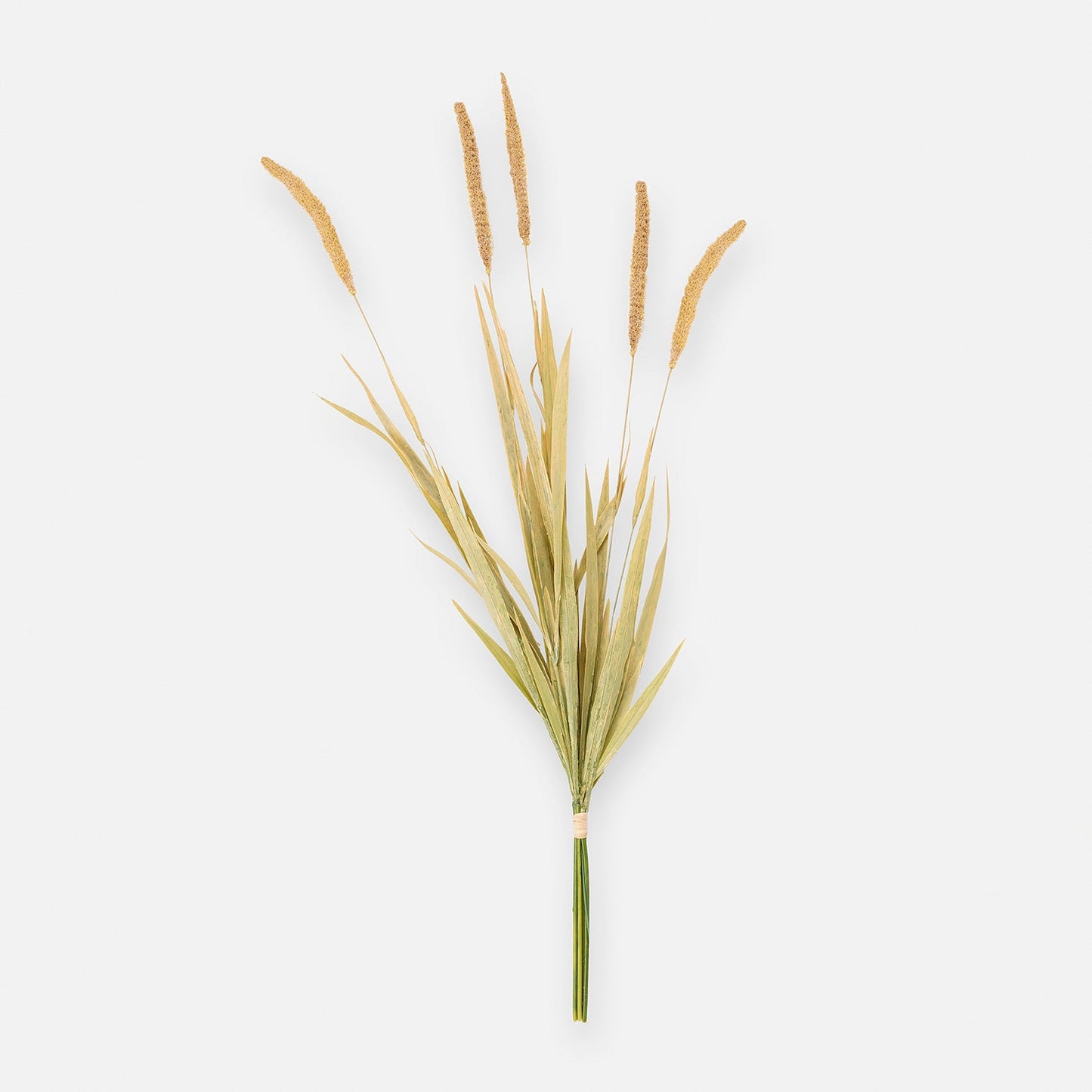 Brown Dry Bristlegrass Herb Artificial Stem - Single