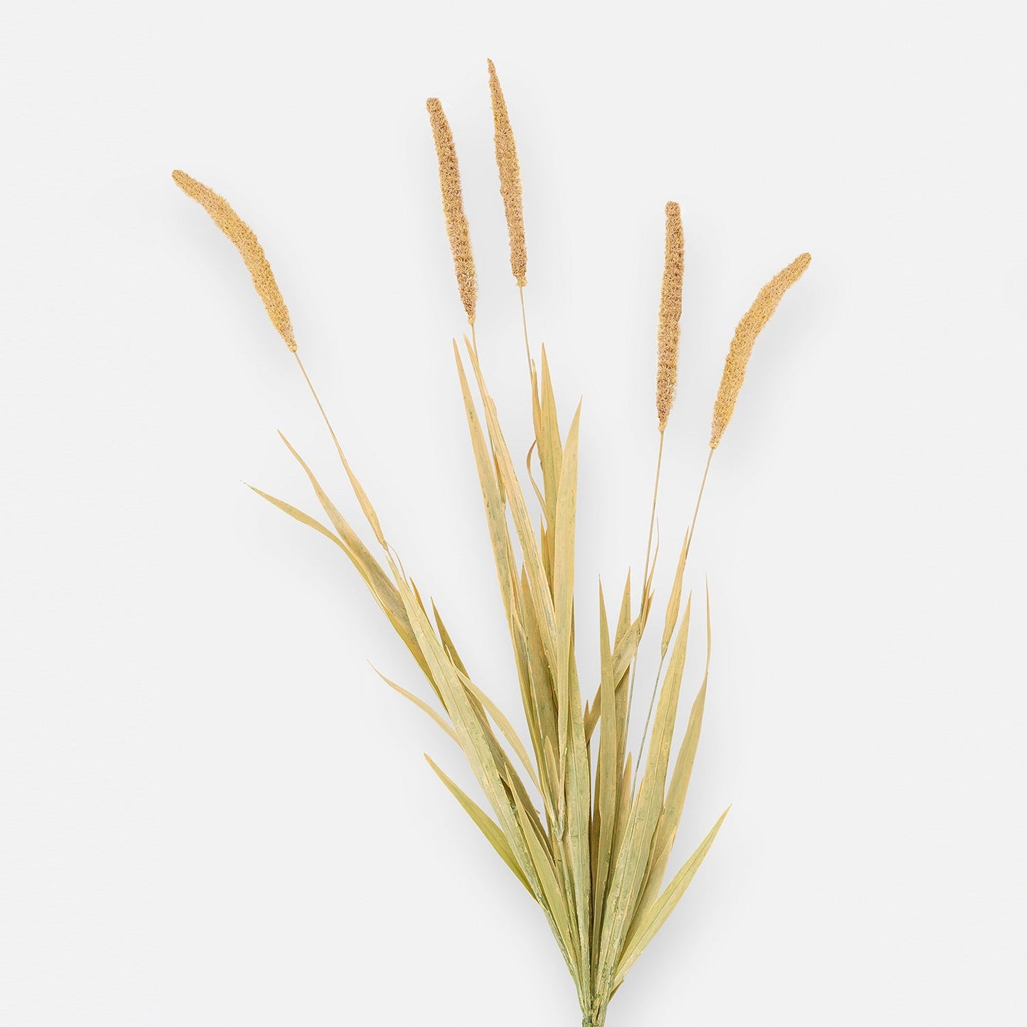 Brown Dry Bristlegrass Herb Artificial Stem - Single