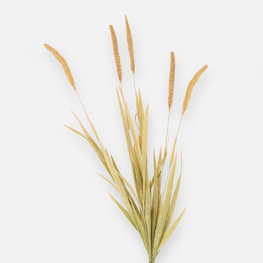 Brown Dry Bristlegrass Herb Artificial Stem - Single