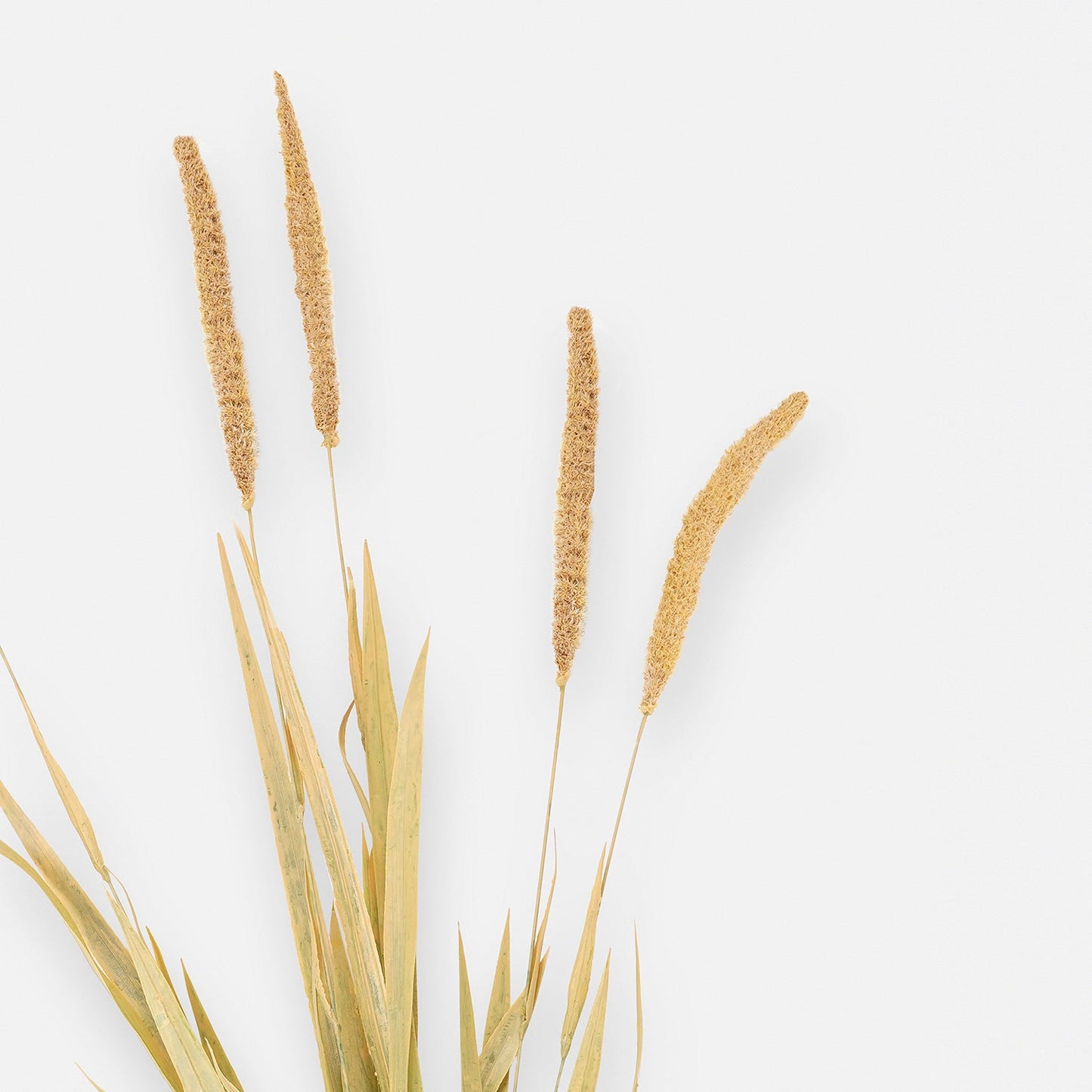 Brown Dry Bristlegrass Herb Artificial Stem - Single