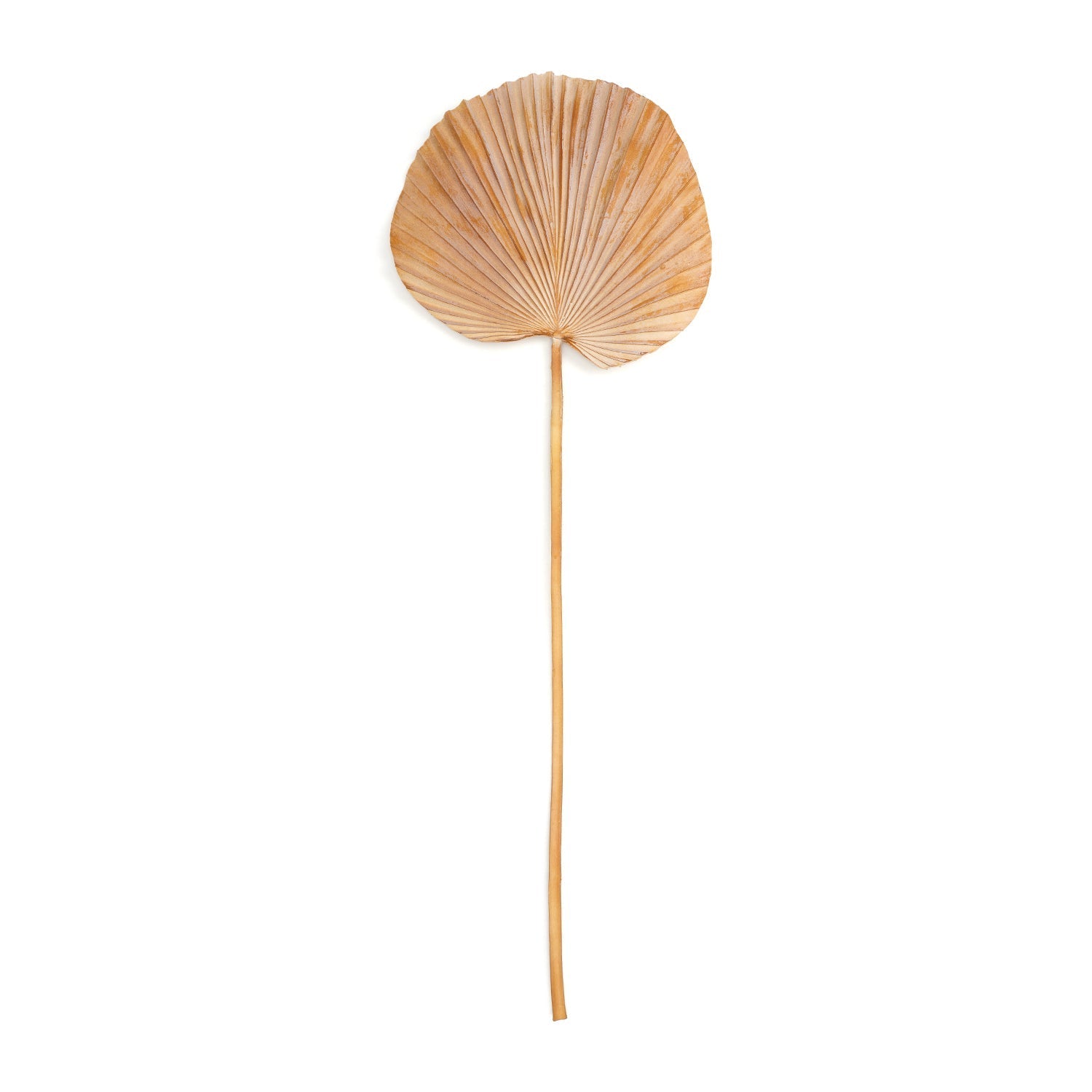 Brown Faux Palm Leaf