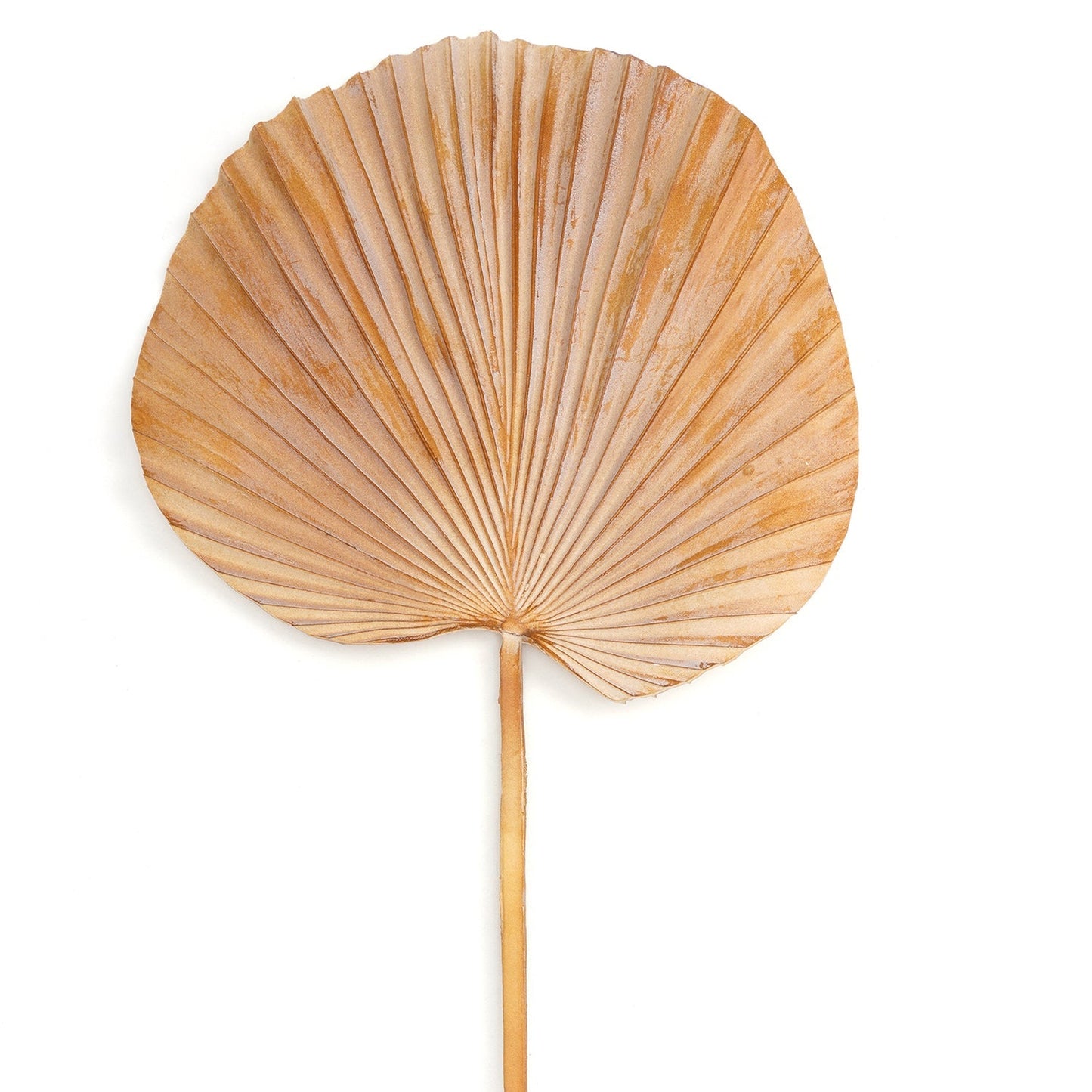 Brown Faux Palm Leaf