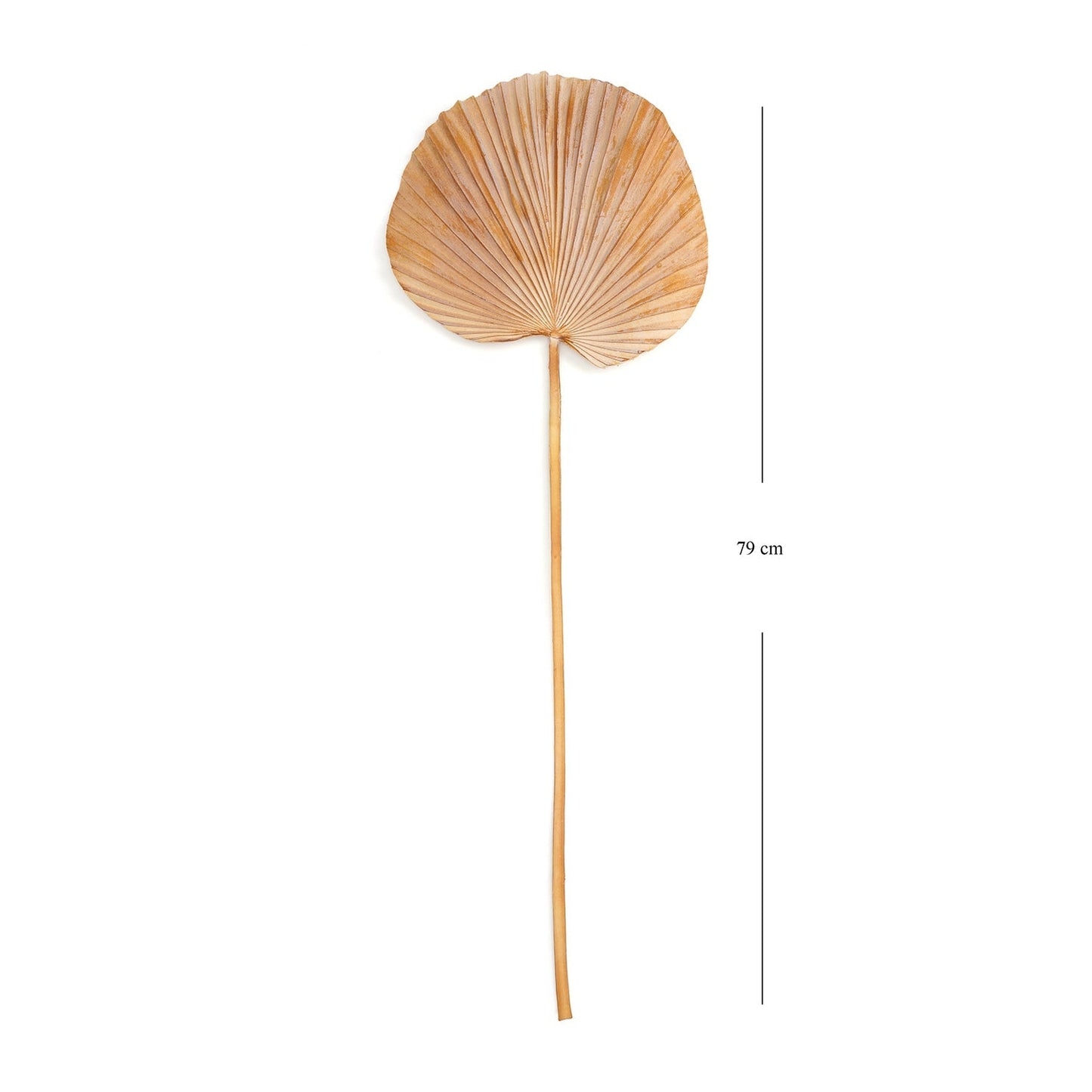 Brown Faux Palm Leaf