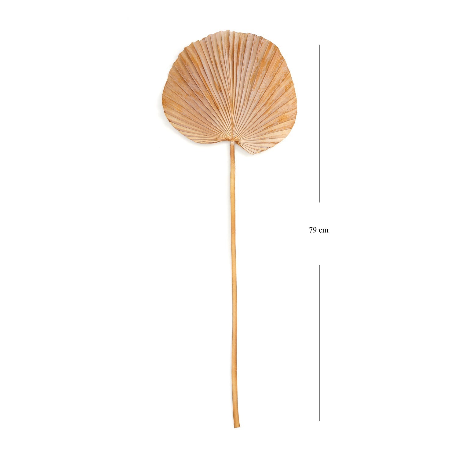 Brown Faux Palm Leaf
