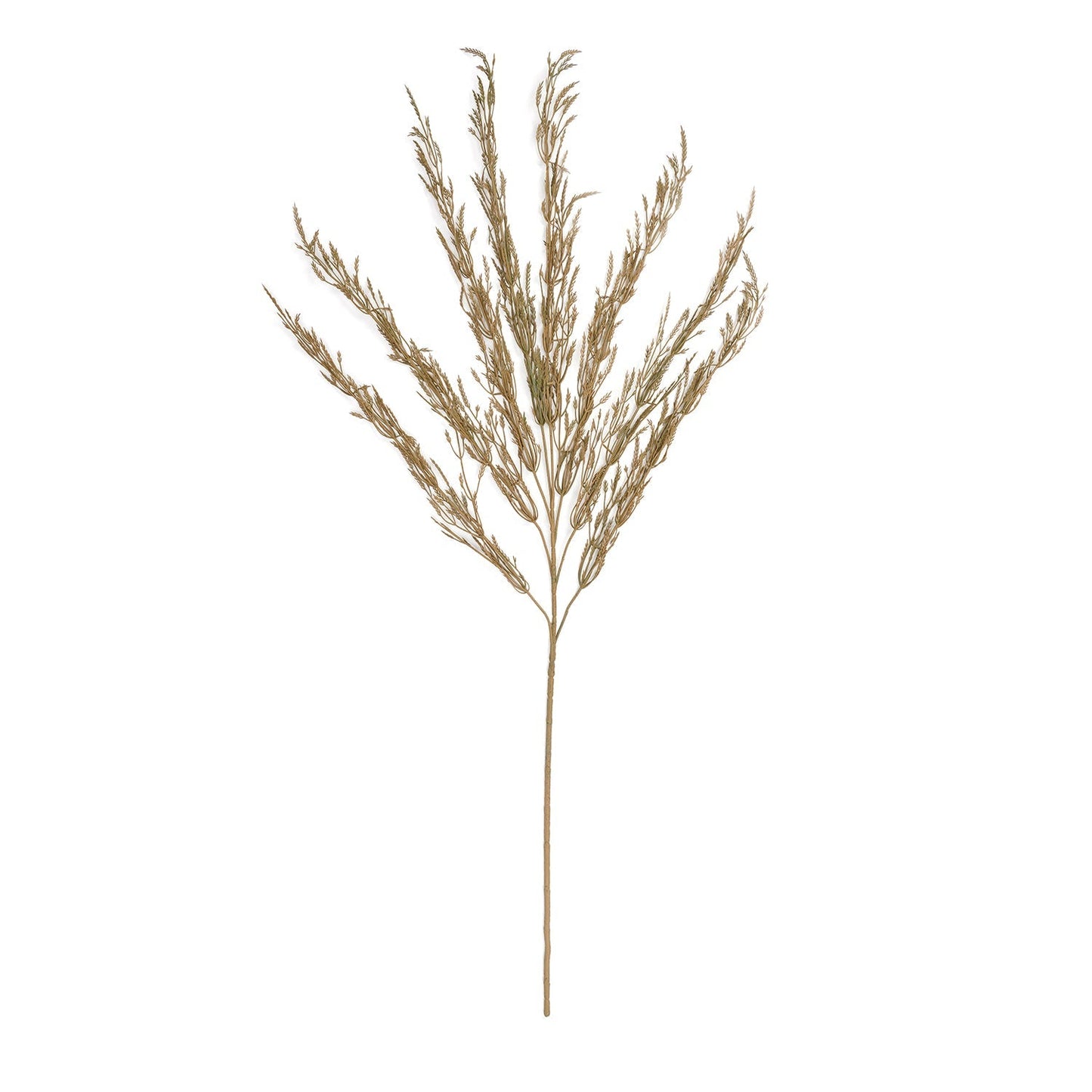 Brown Wheatgrass Spray
