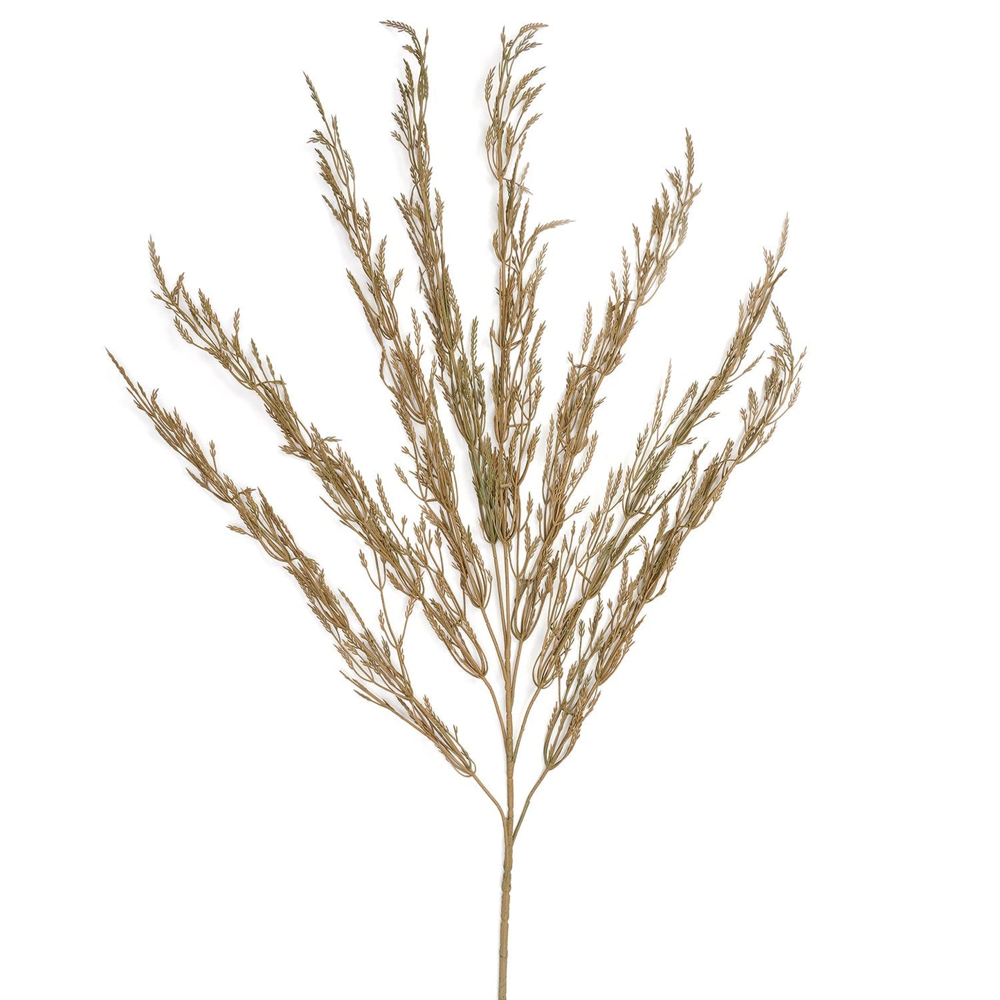 Brown Wheatgrass Spray