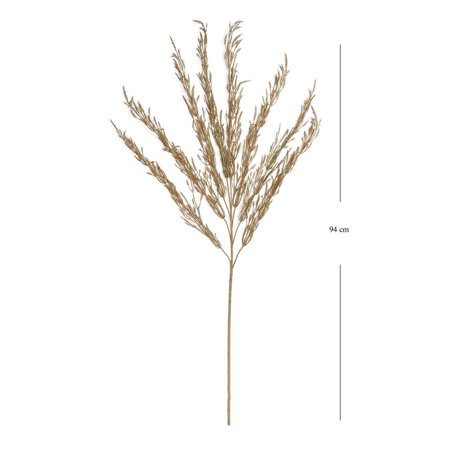 Brown Wheatgrass Spray