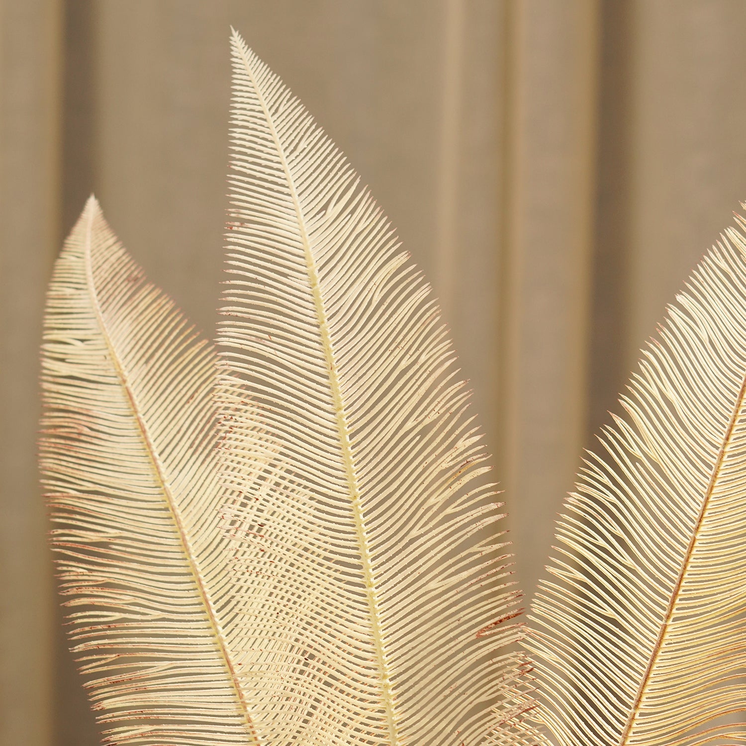 Cream Dry Fern Artificial Stem - Single