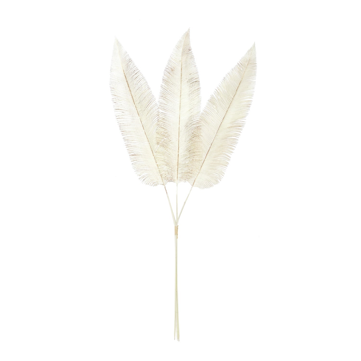 Cream Dry Fern Artificial Stem - Single