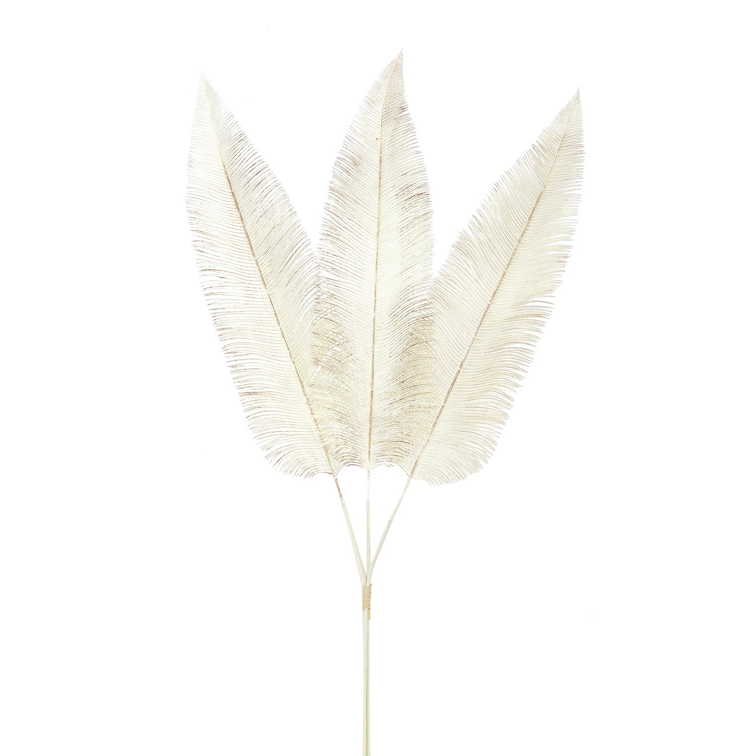 Cream Dry Fern Artificial Stem - Single