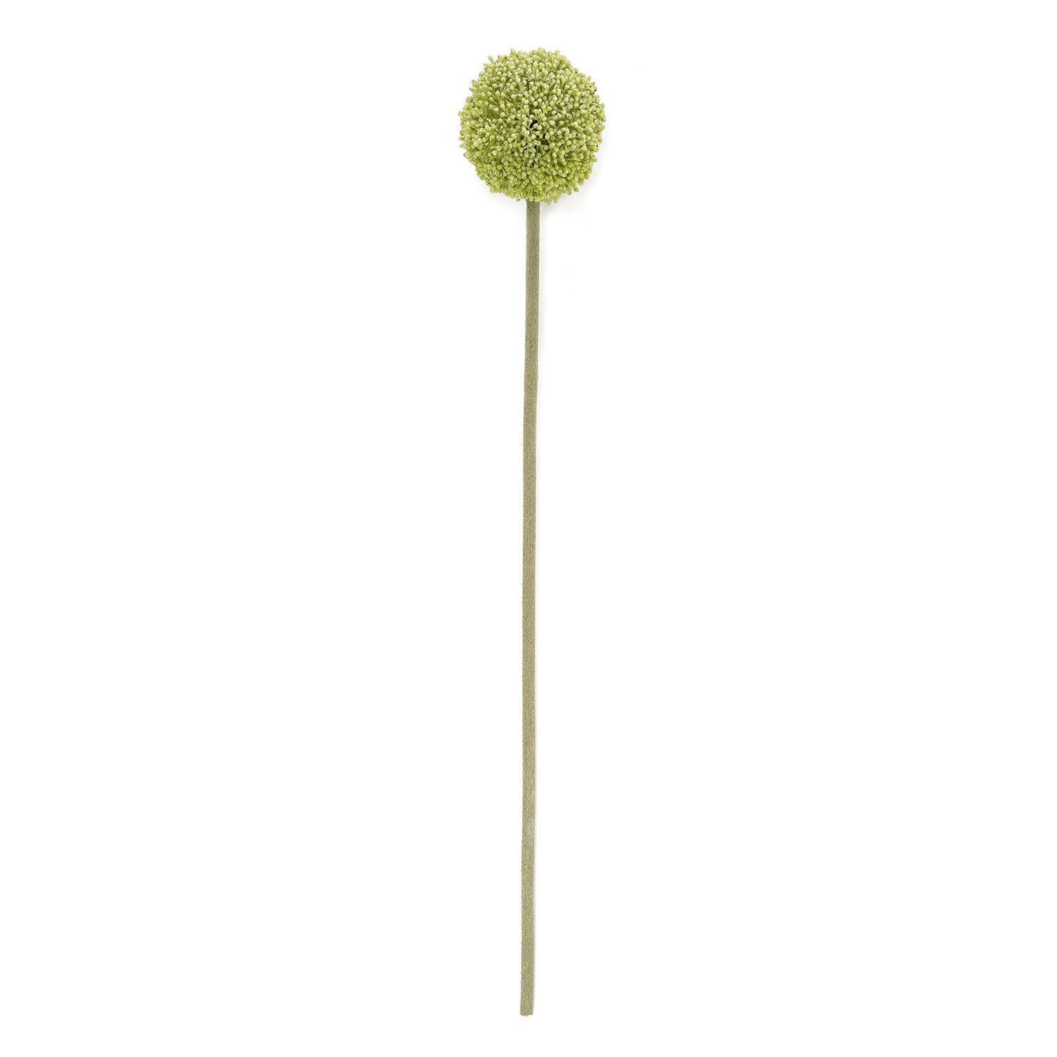 Buddleia Spray