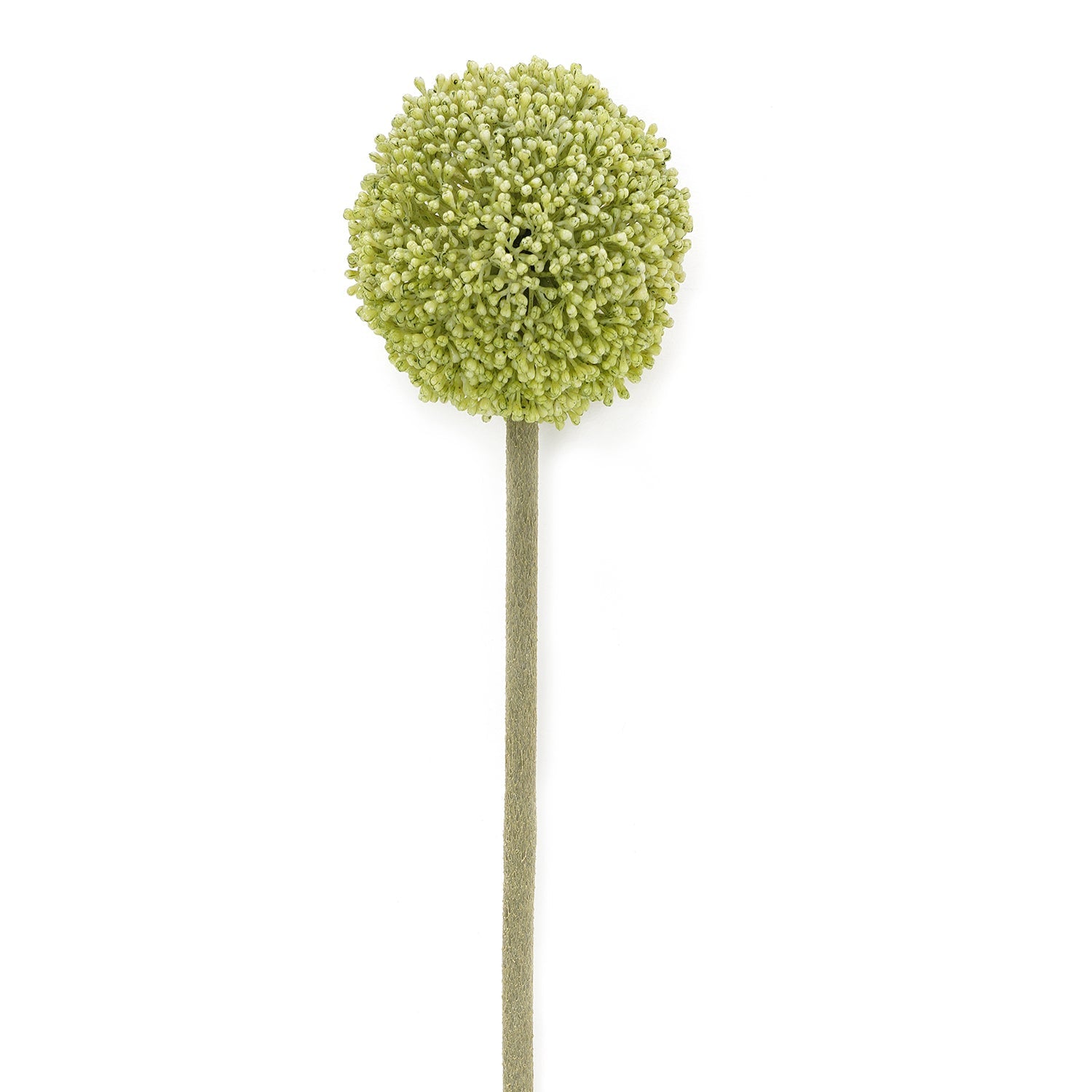 Buddleia Spray