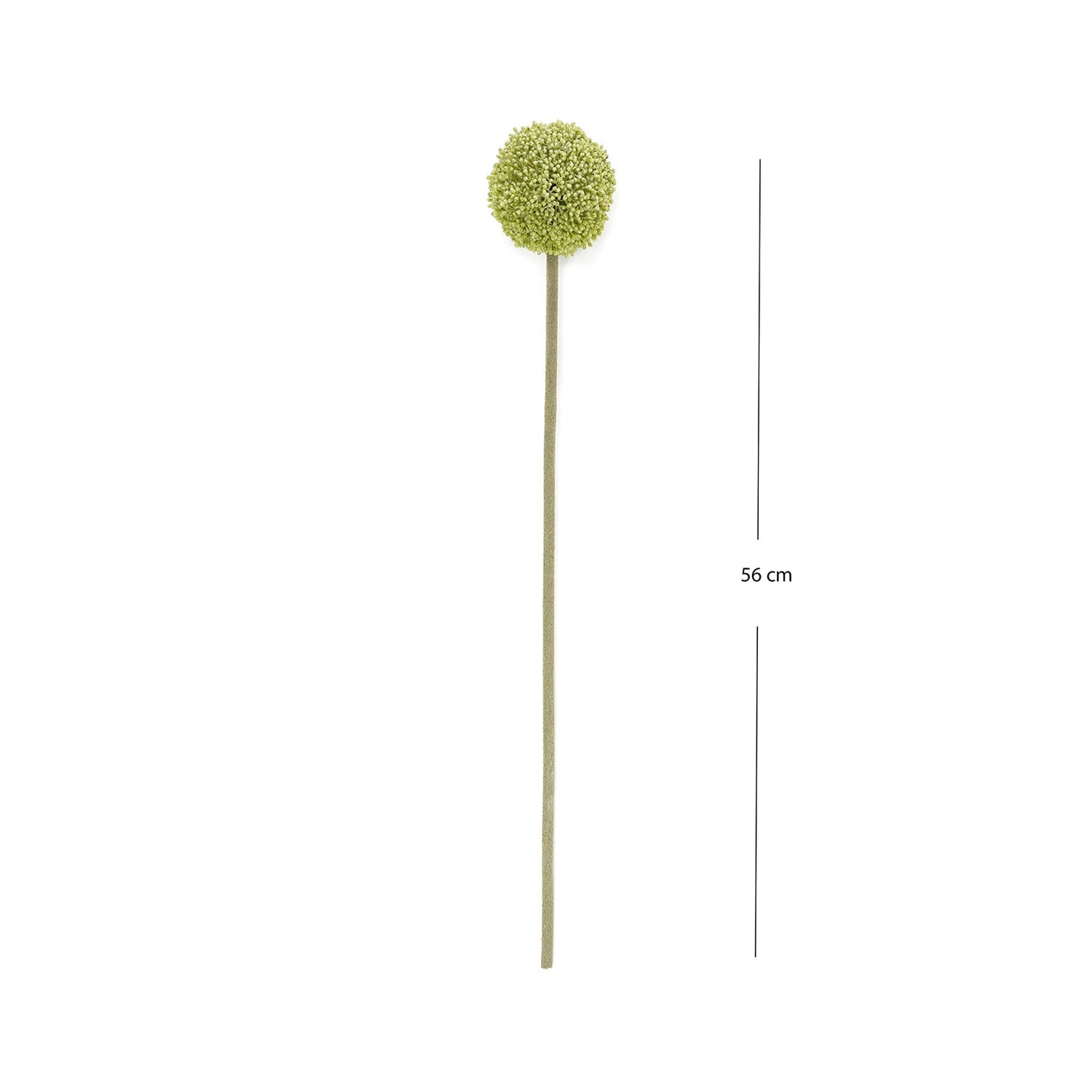 Buddleia Spray