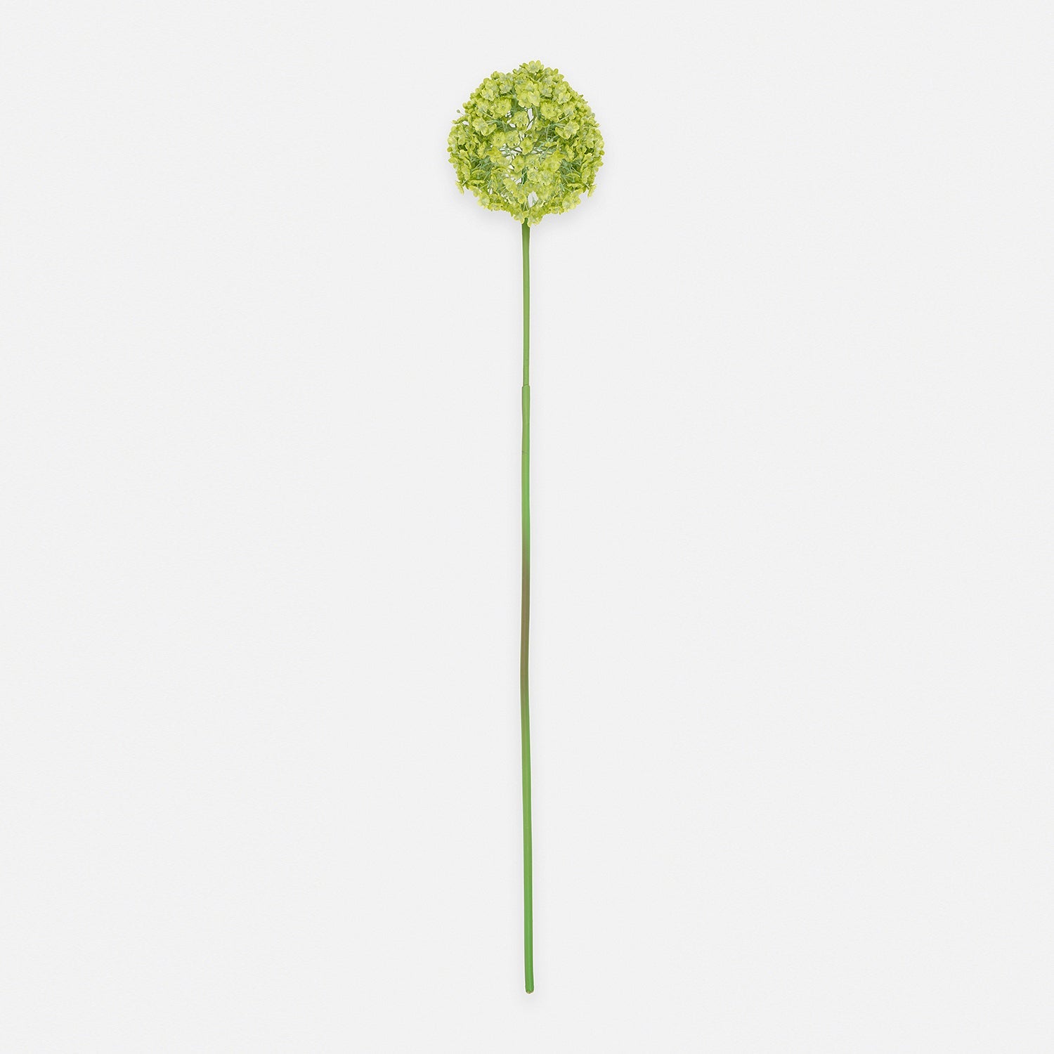 Buddleia Spray, Cream, 86Cm