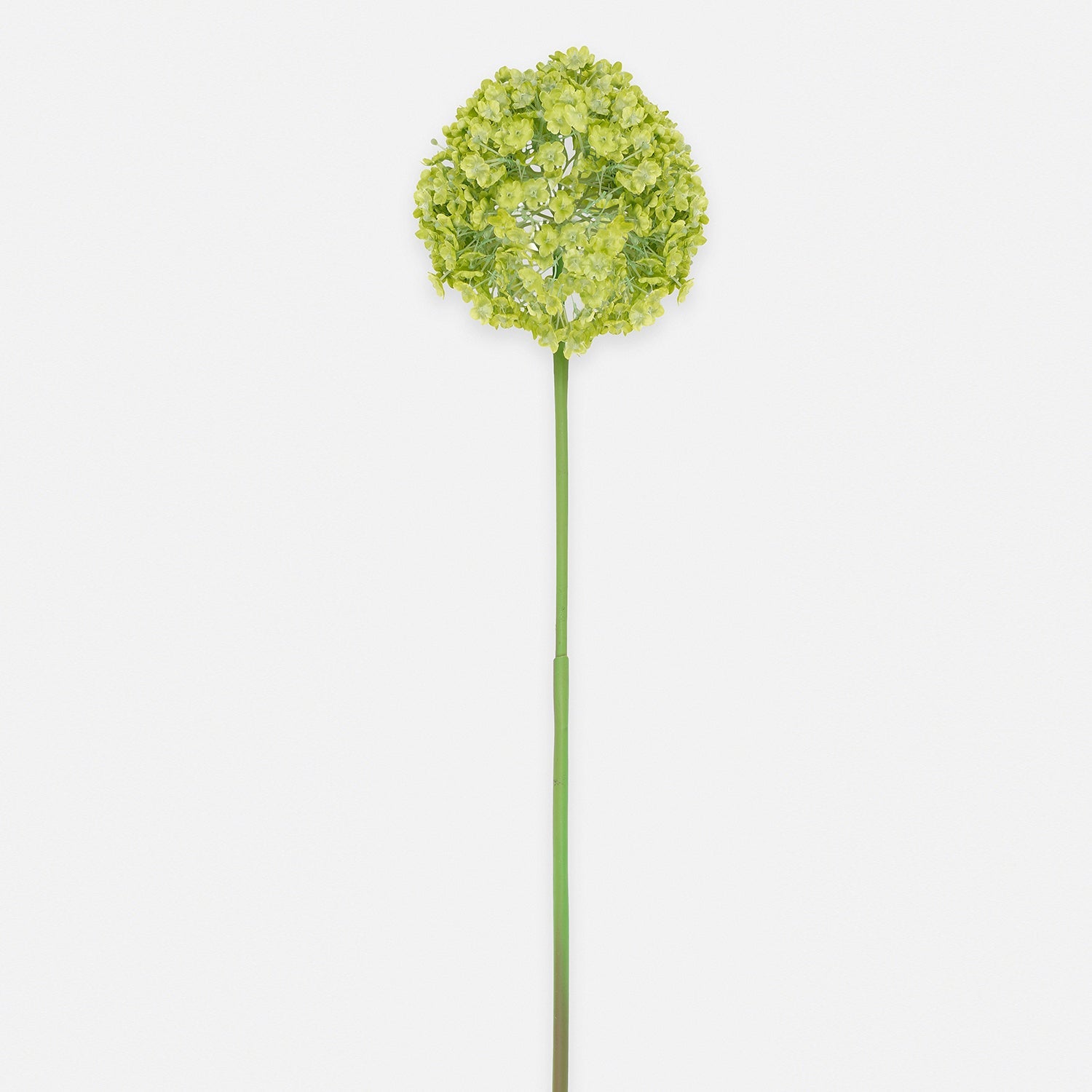 Buddleia Spray, Cream, 86Cm