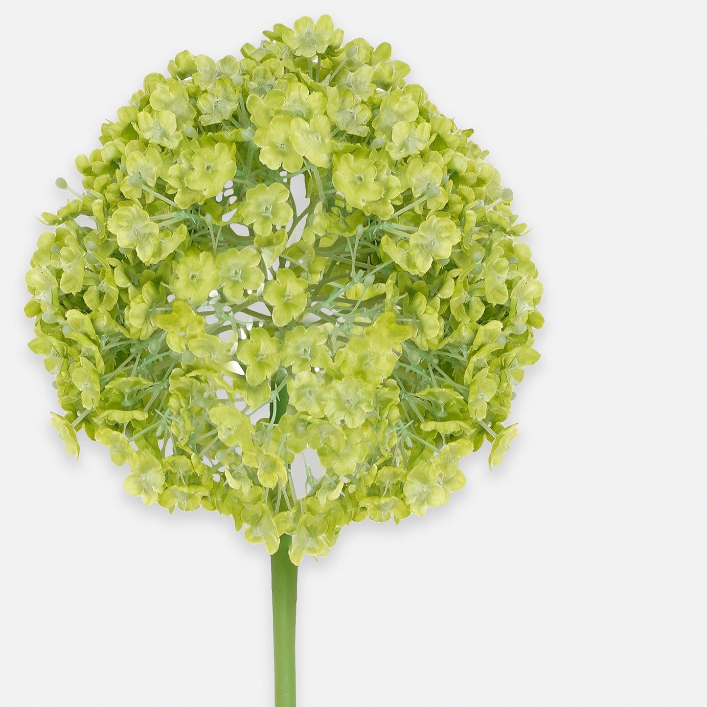 Buddleia Spray, Cream, 86Cm