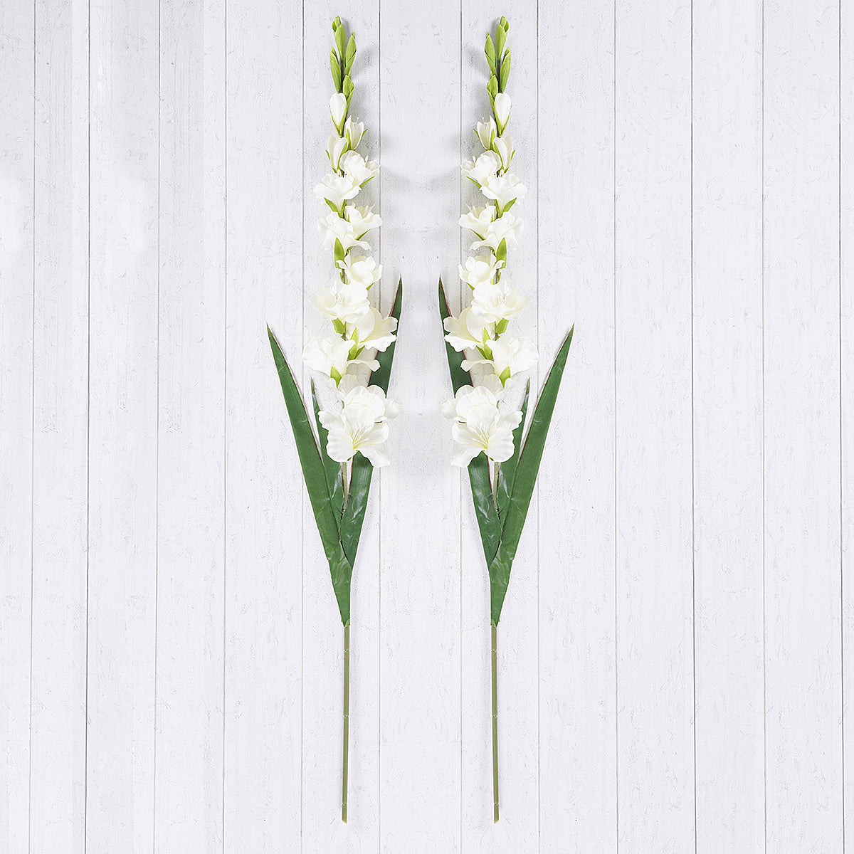 Set of 2 Gladious Ivory Stem