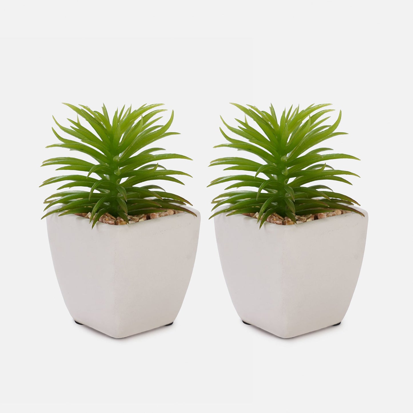 Set Of 2 Potted Green Cactus