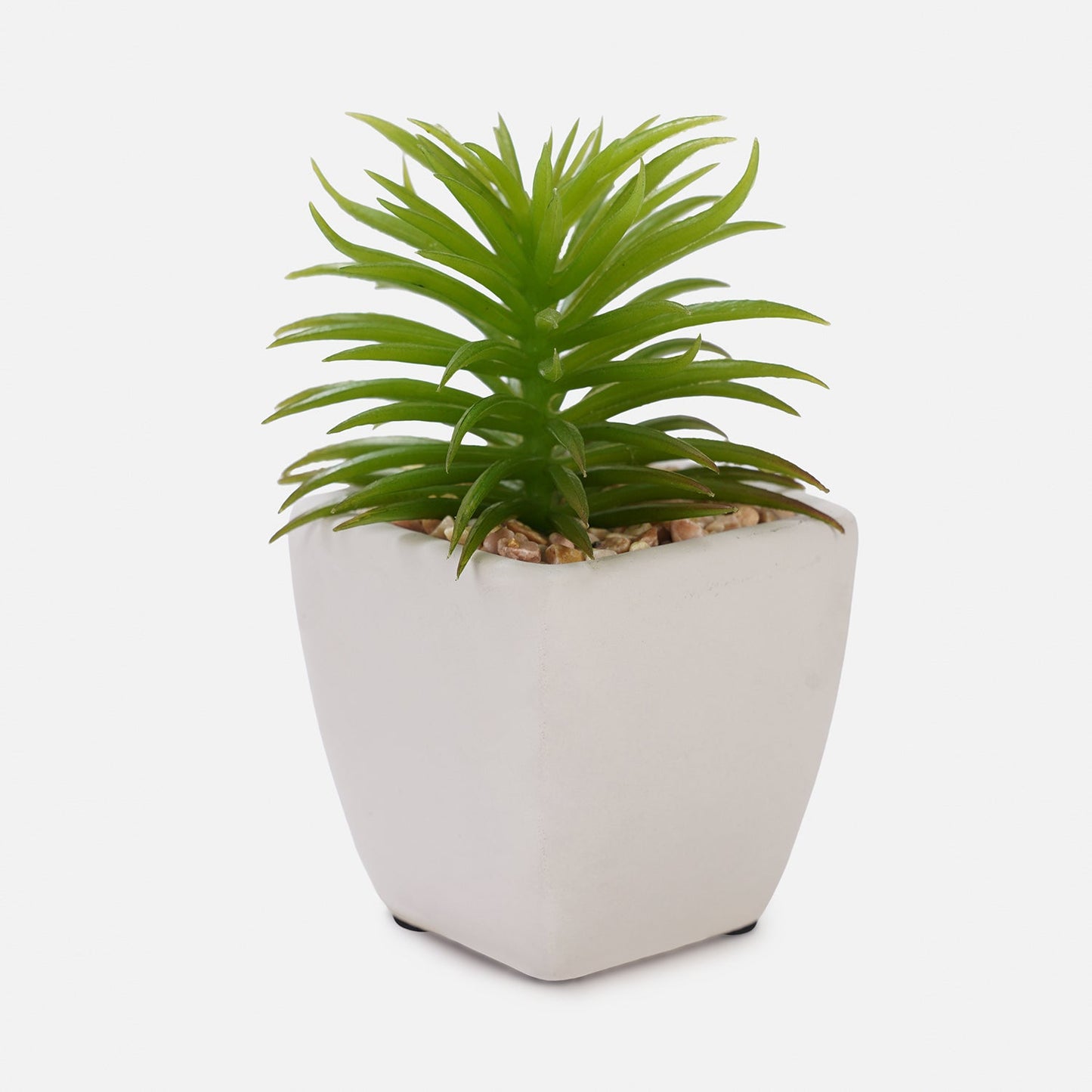 Set Of 2 Potted Green Cactus