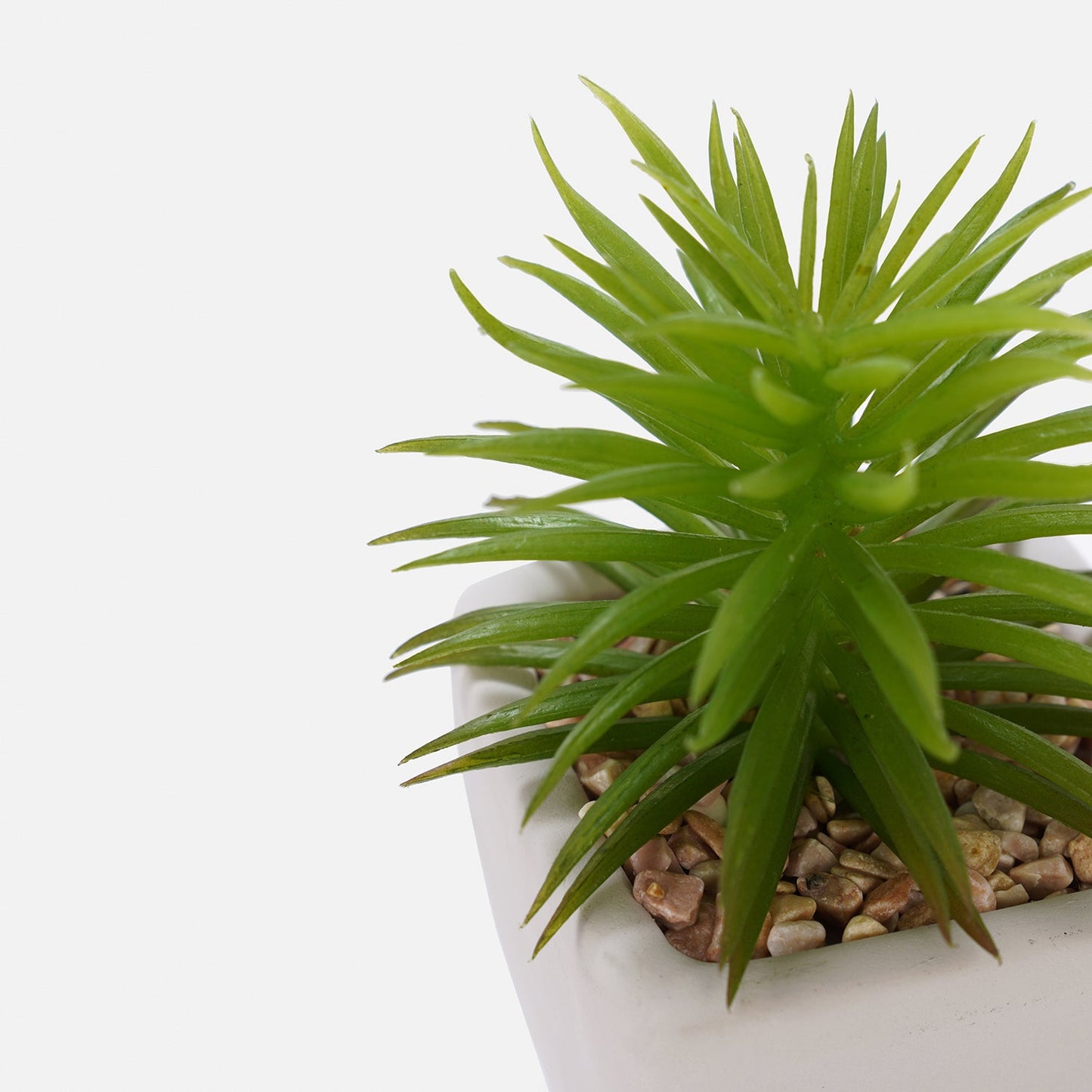 Set Of 2 Potted Green Cactus