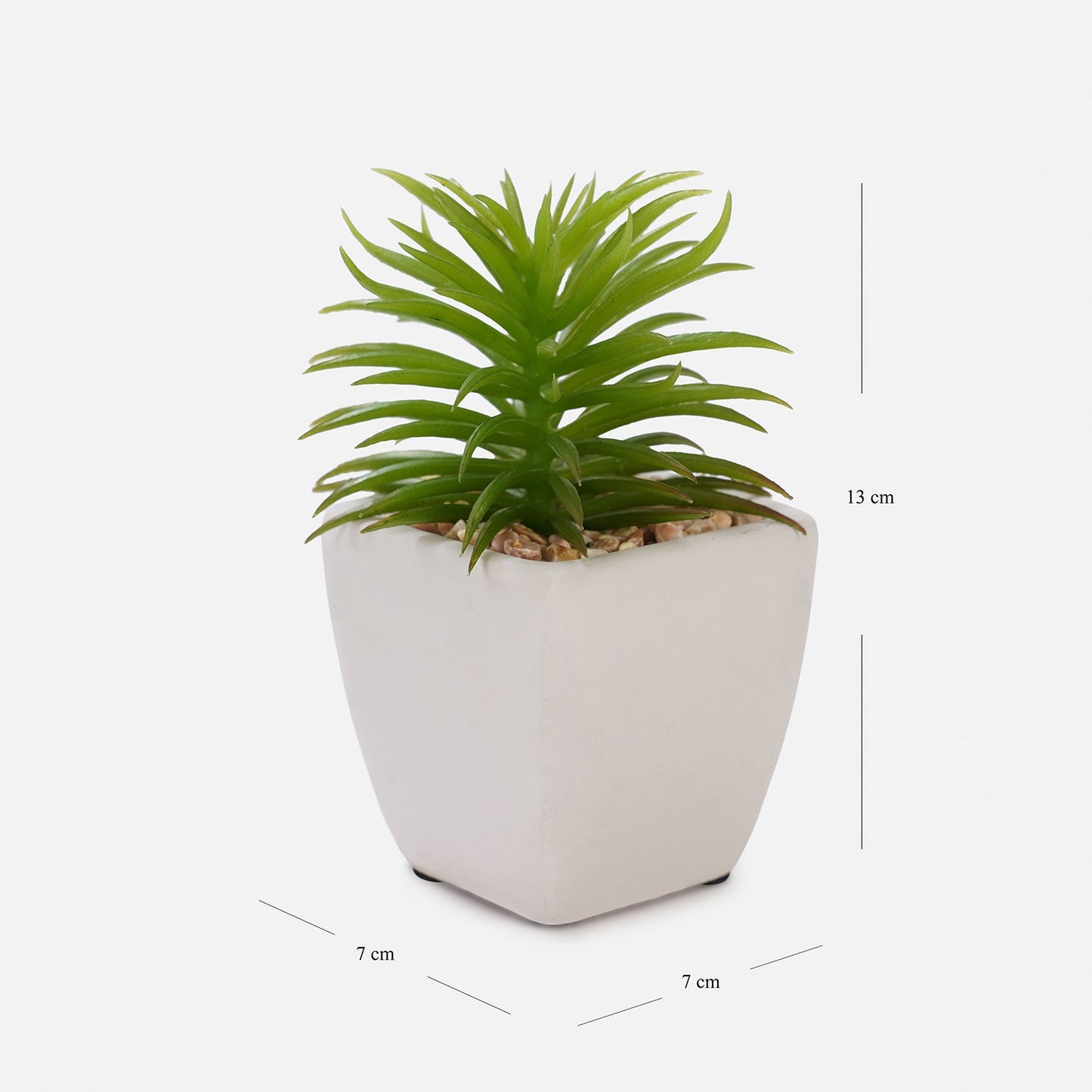 Set Of 2 Potted Green Cactus