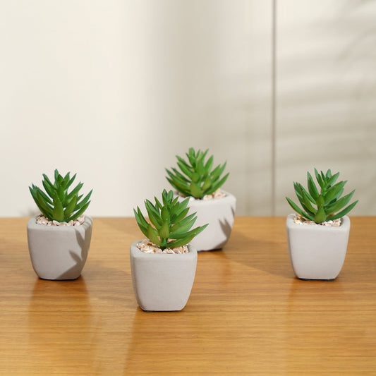 Set Of 4 Green Faux Succulent With Cement Pot