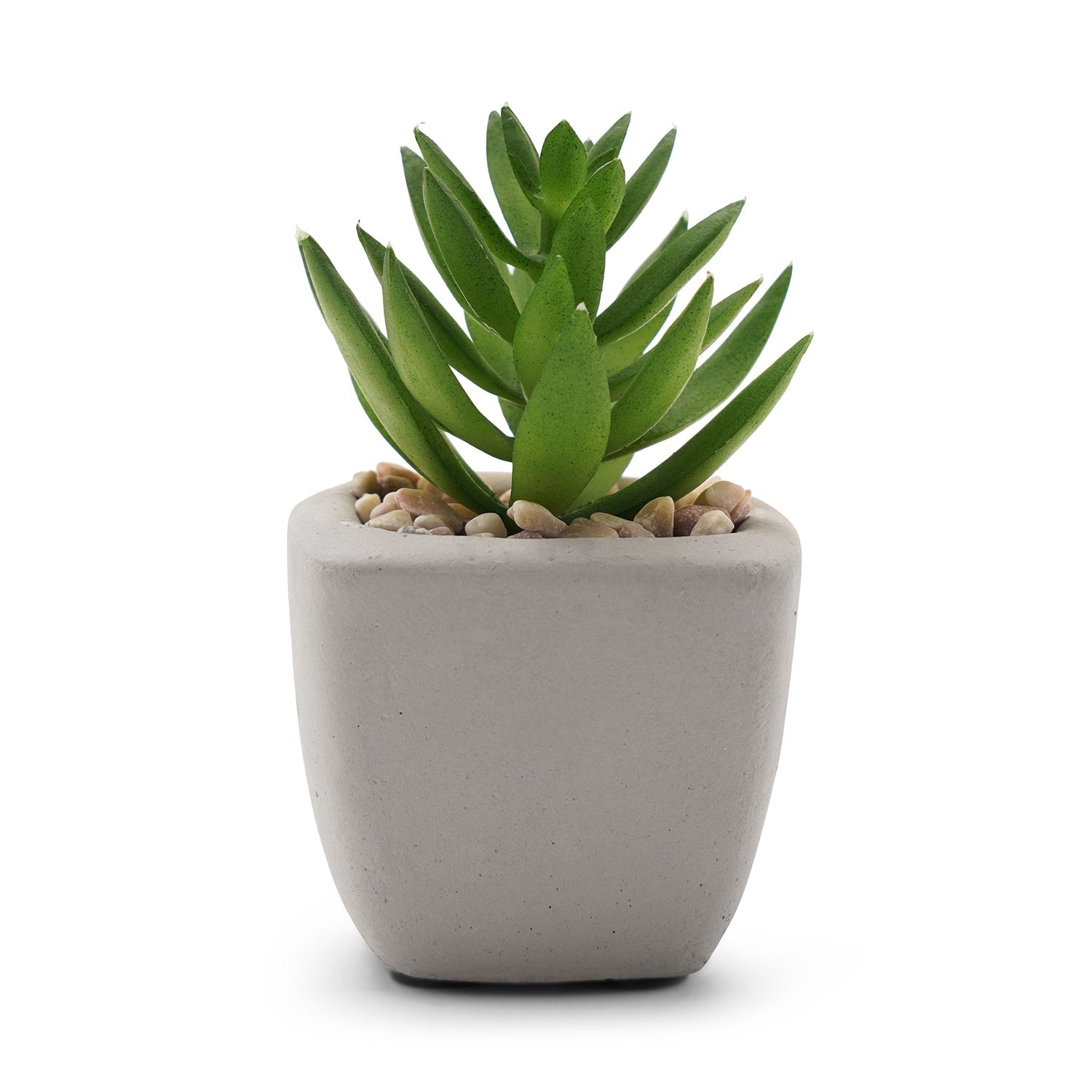 Set Of 4 Green Faux Succulent With Cement Pot