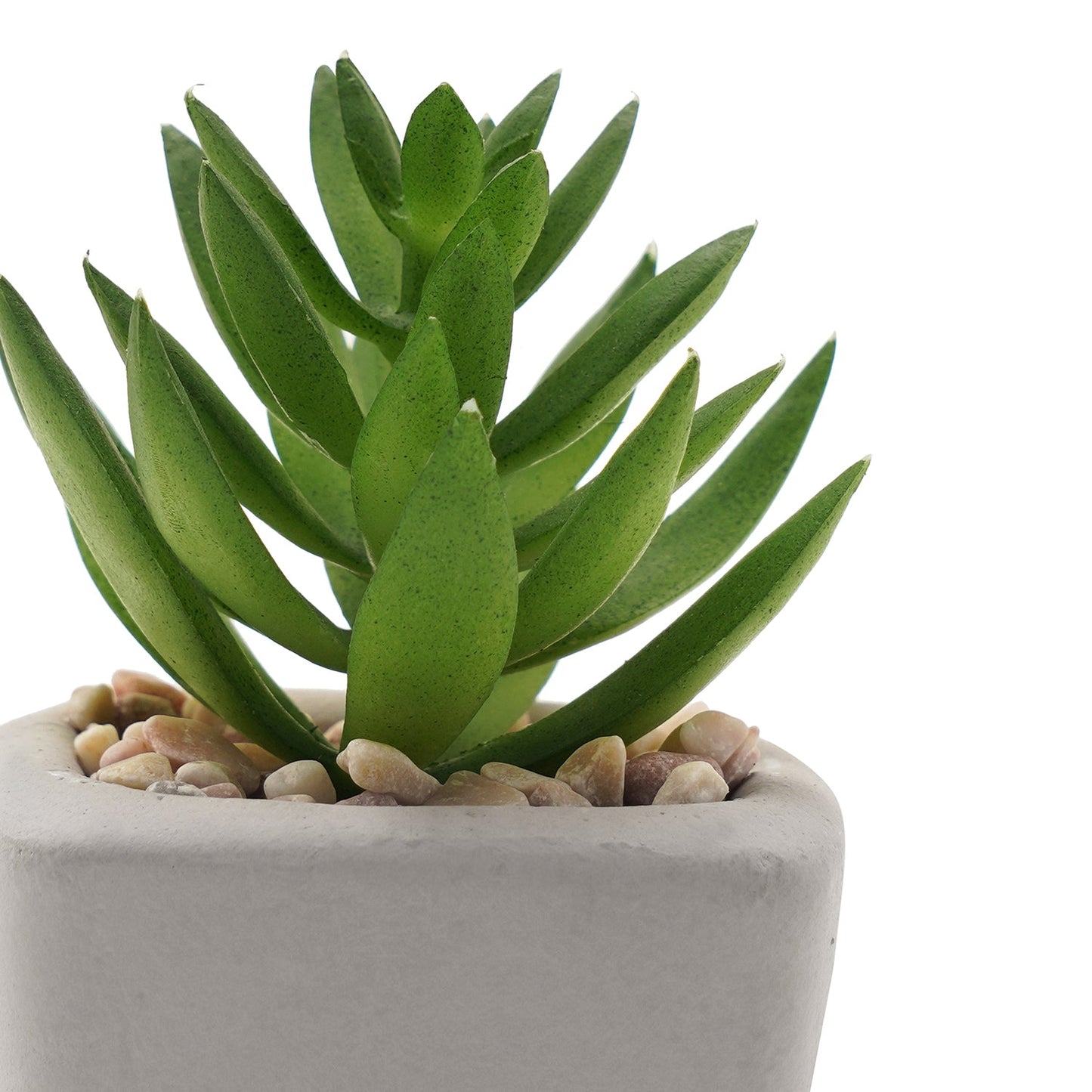 Set Of 4 Green Faux Succulent With Cement Pot