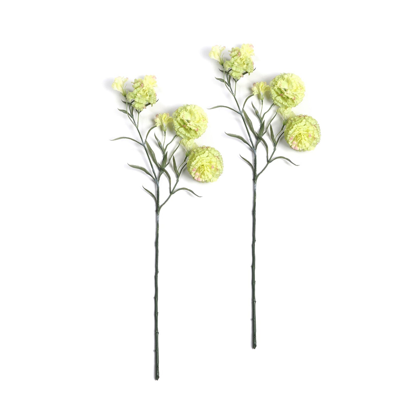 Set of 2 Carnation Green Stem
