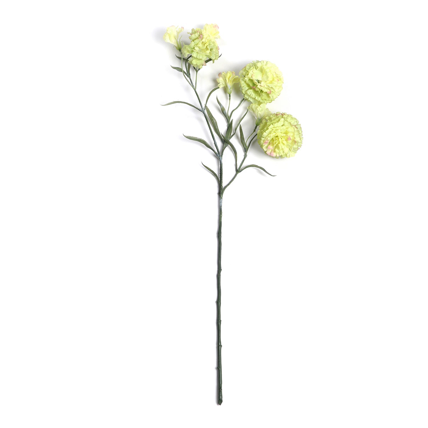 Set of 2 Carnation Green Stem