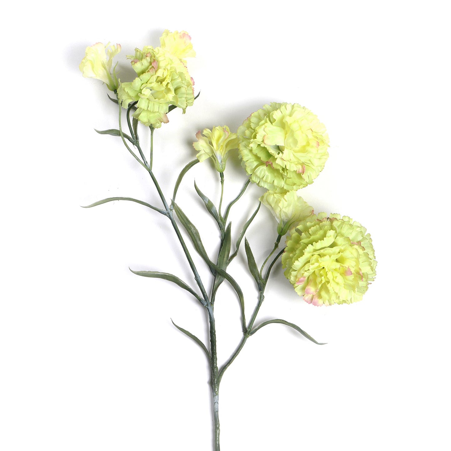 Set of 2 Carnation Green Stem