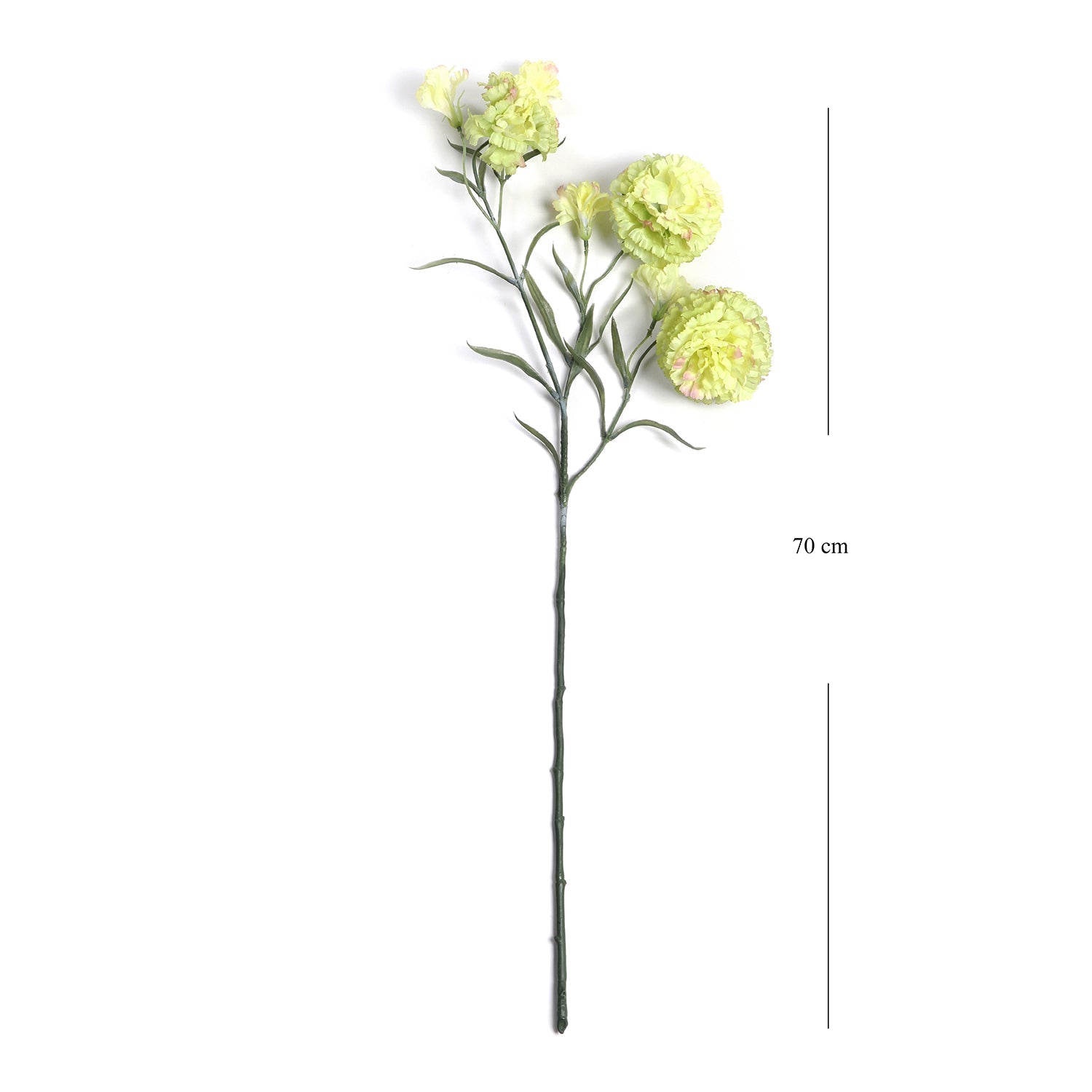 Set of 2 Carnation Green Stem