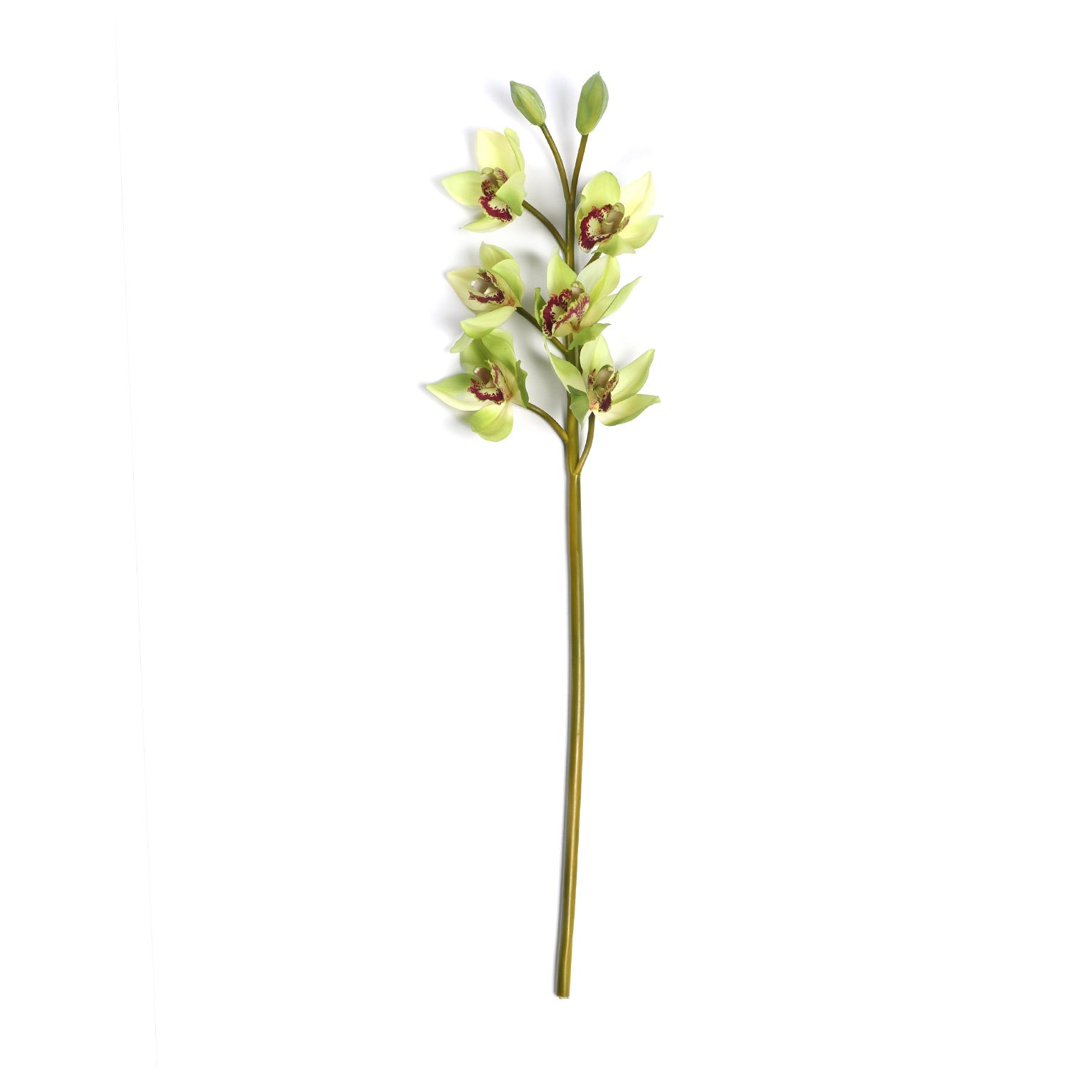 Green Faux Boat Orchid Spray Single