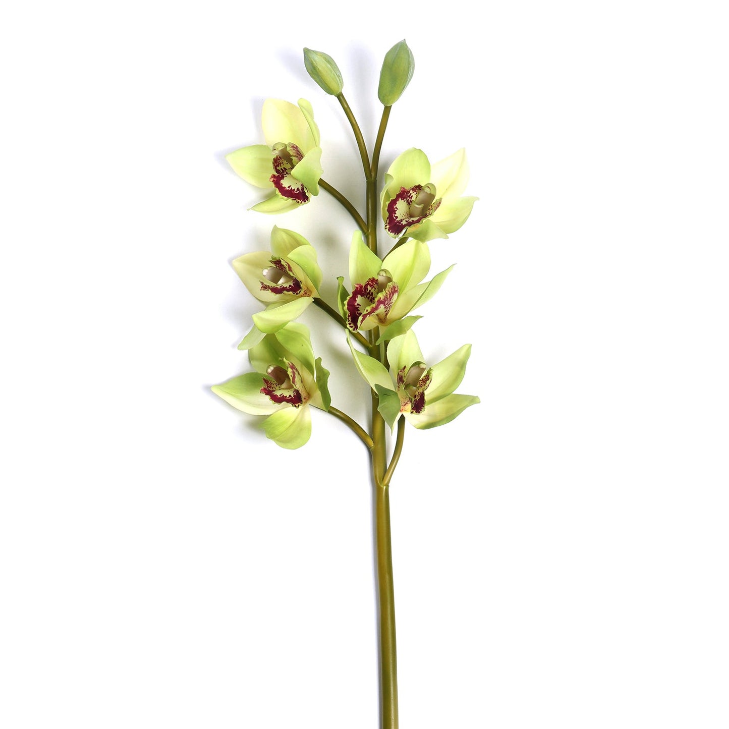 Green Faux Boat Orchid Spray Single