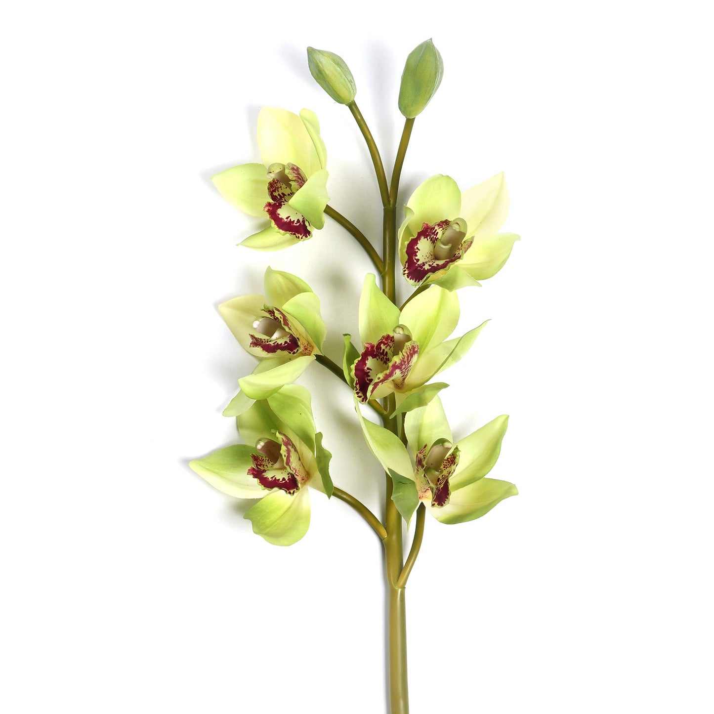 Green Faux Boat Orchid Spray Single