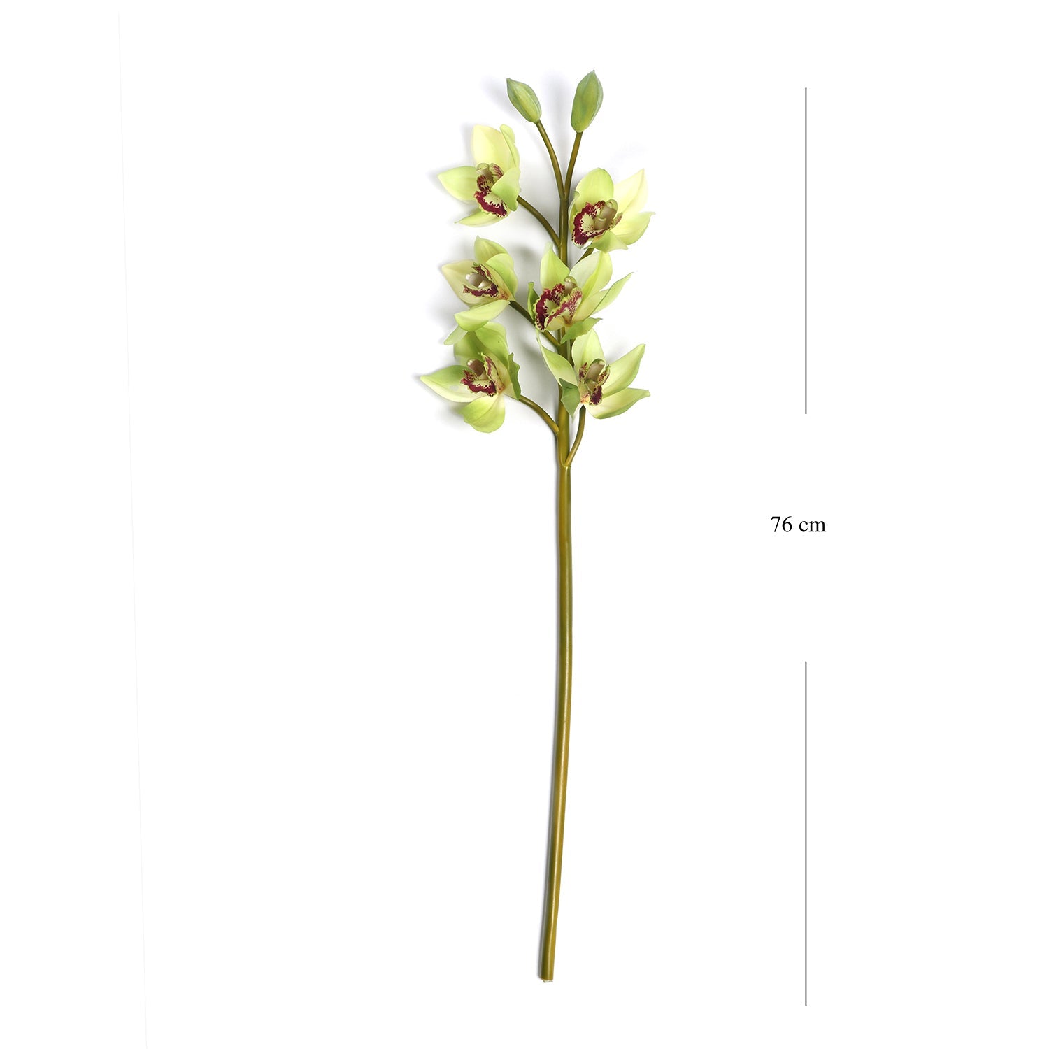 Green Faux Boat Orchid Spray Single