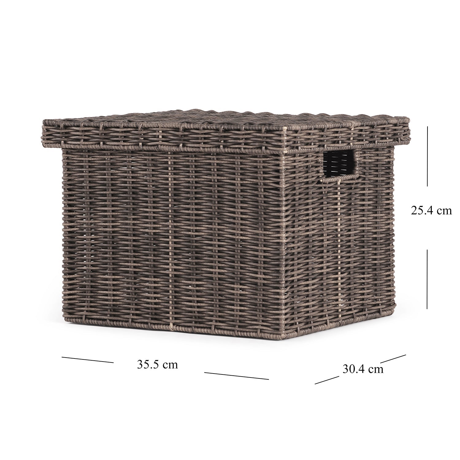 Brown Resin Wicker Multipurpose Storage Box With Lid