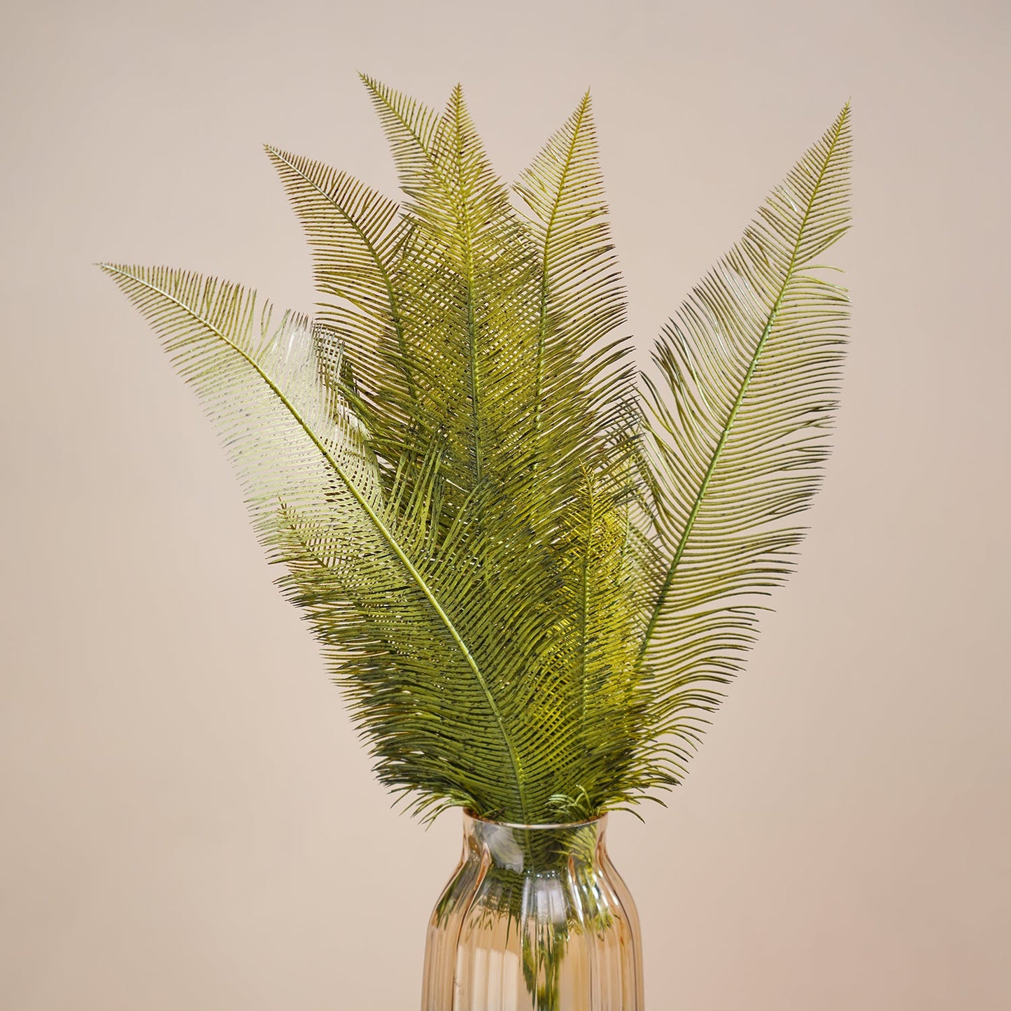 Green Fern Bush